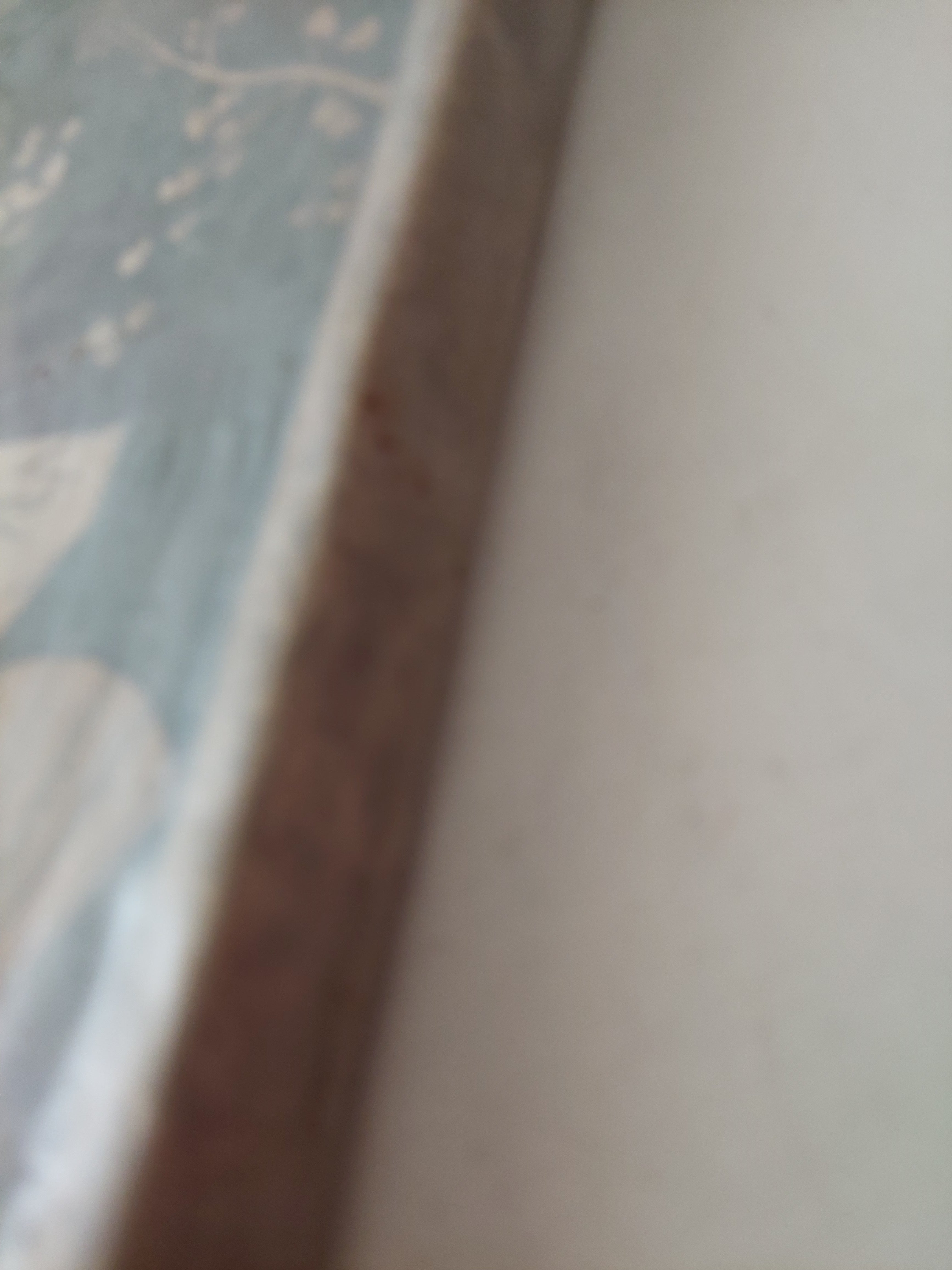 فتى عربة الركشة / لاو شو - متجر كتب مصرمتجر كتب مصر