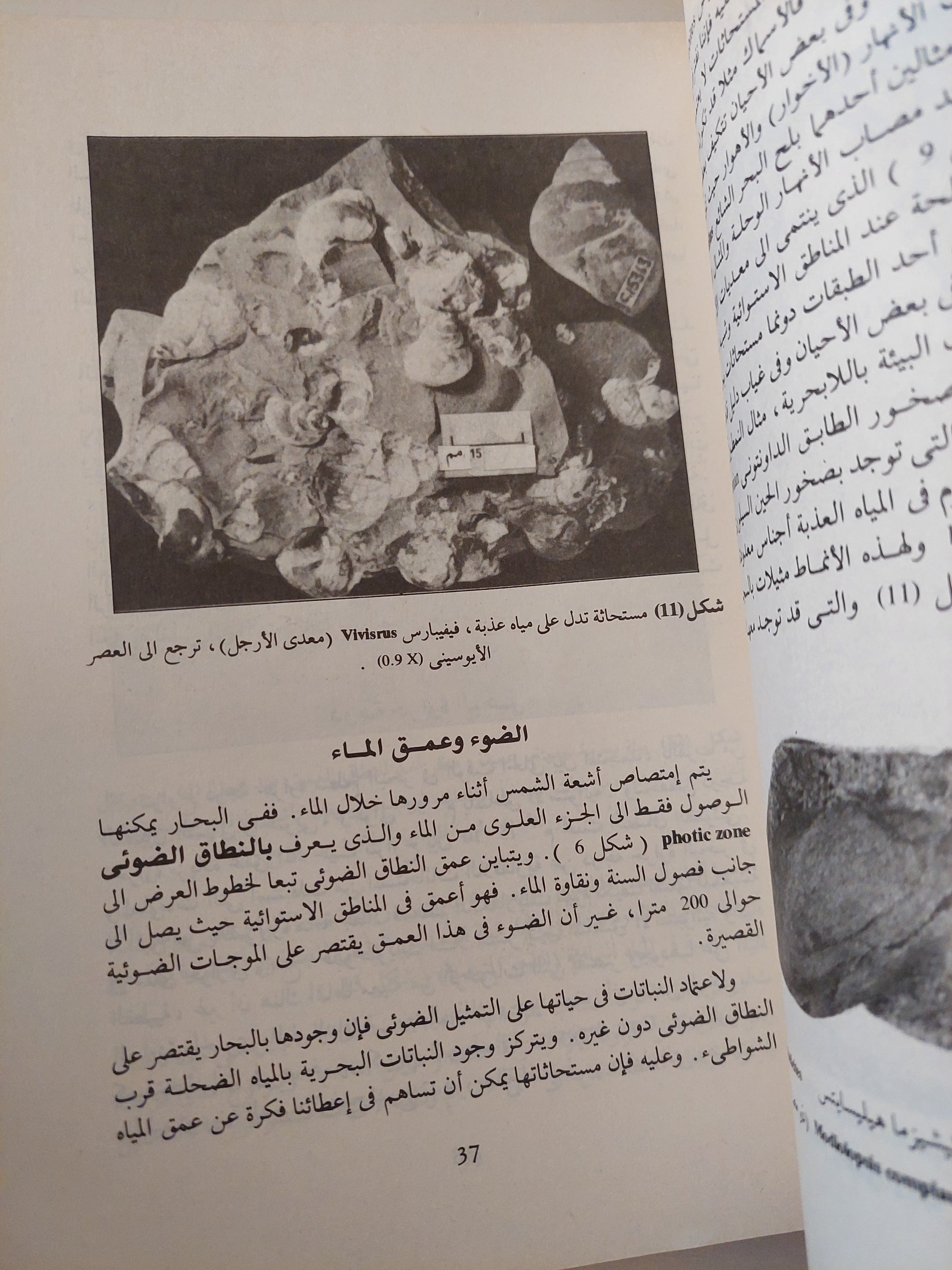 مبادىء علم المستحاثات / روفا لاك - ملحق بالصور - متجر كتب مصرمتجر كتب مصر