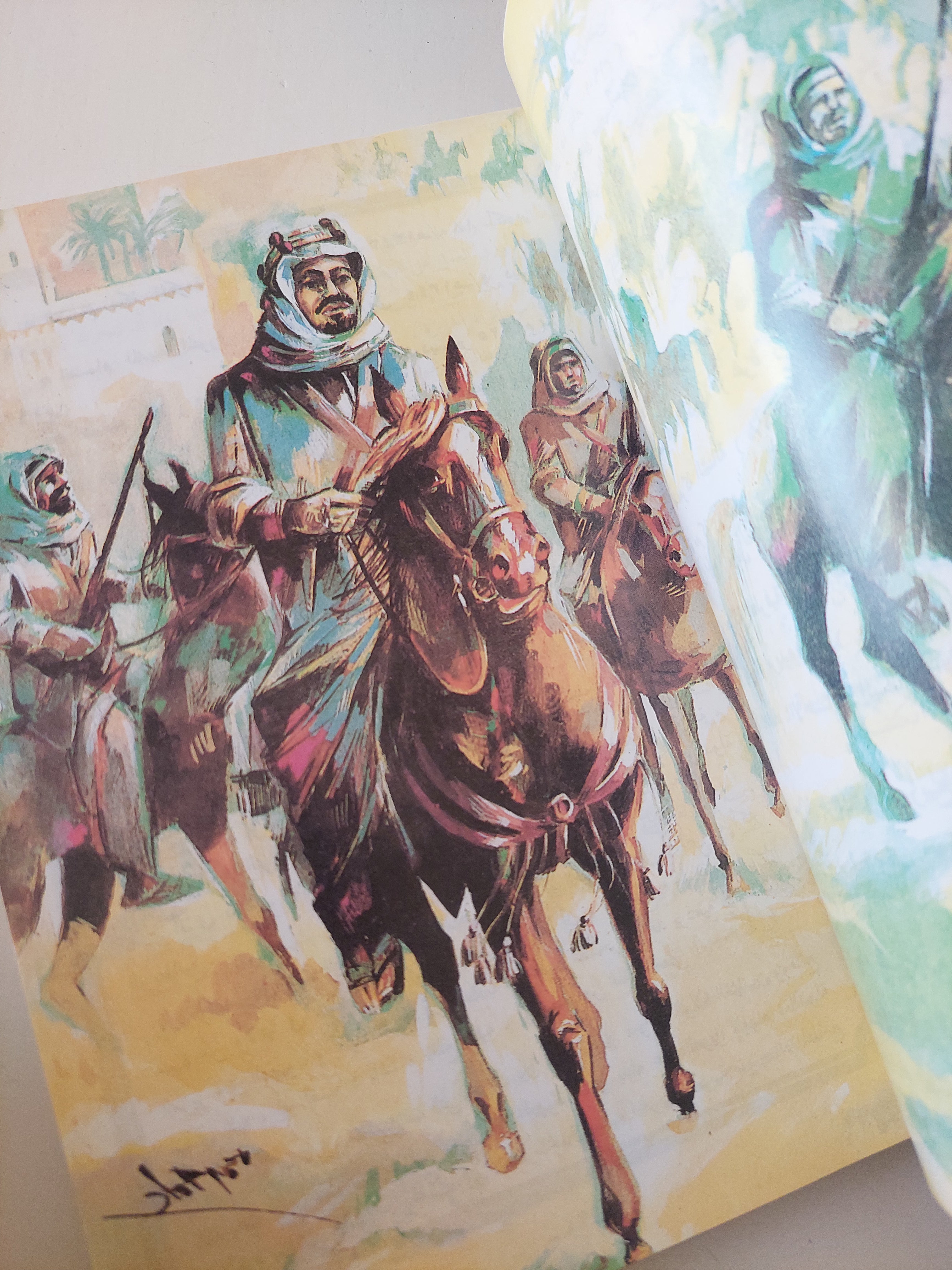 هذه بلادنا - ملحق بالصور - متجر كتب مصرمتجر كتب مصر