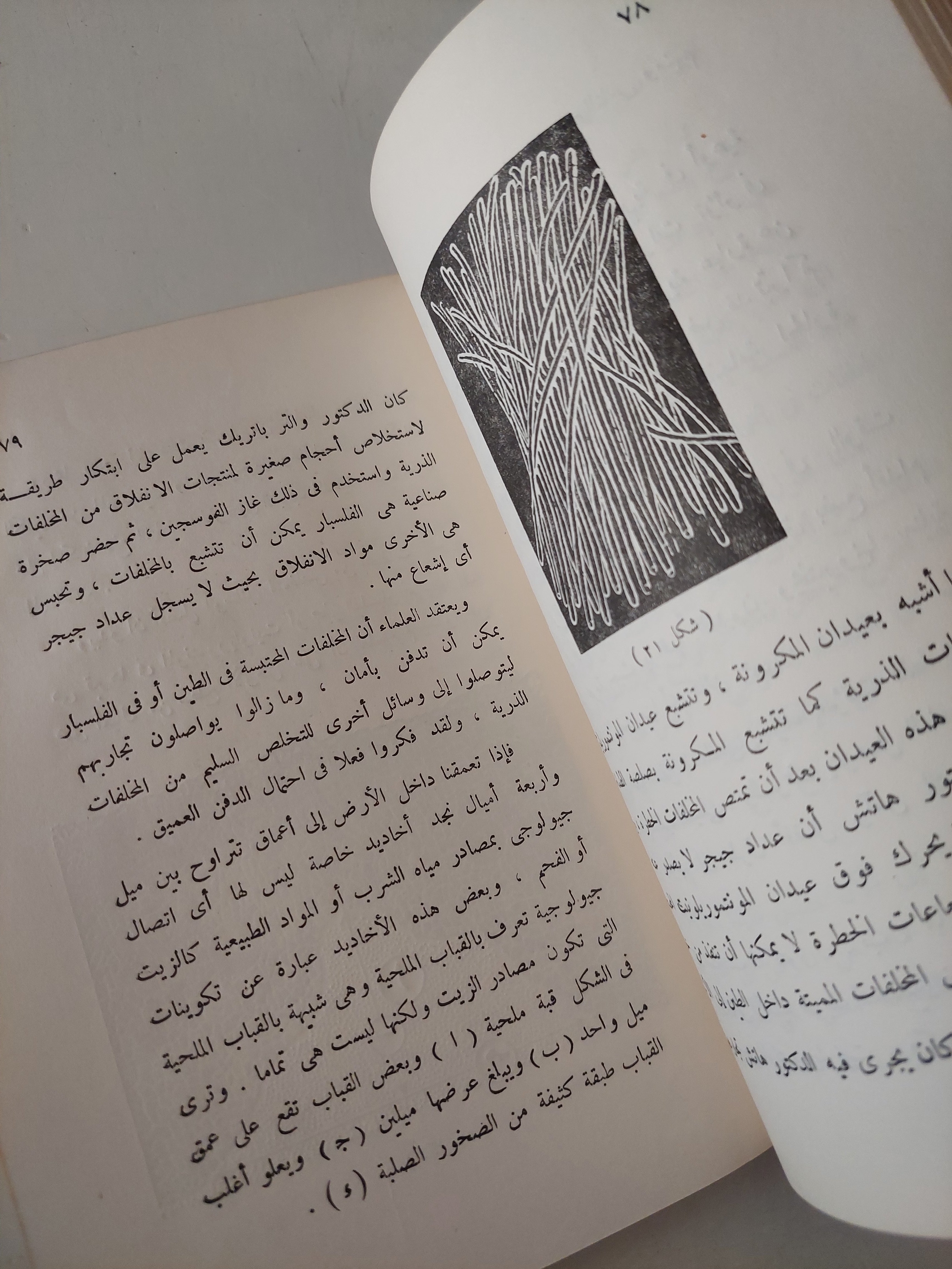 افاق العلم / لين بول - متجر كتب مصرمتجر كتب مصر