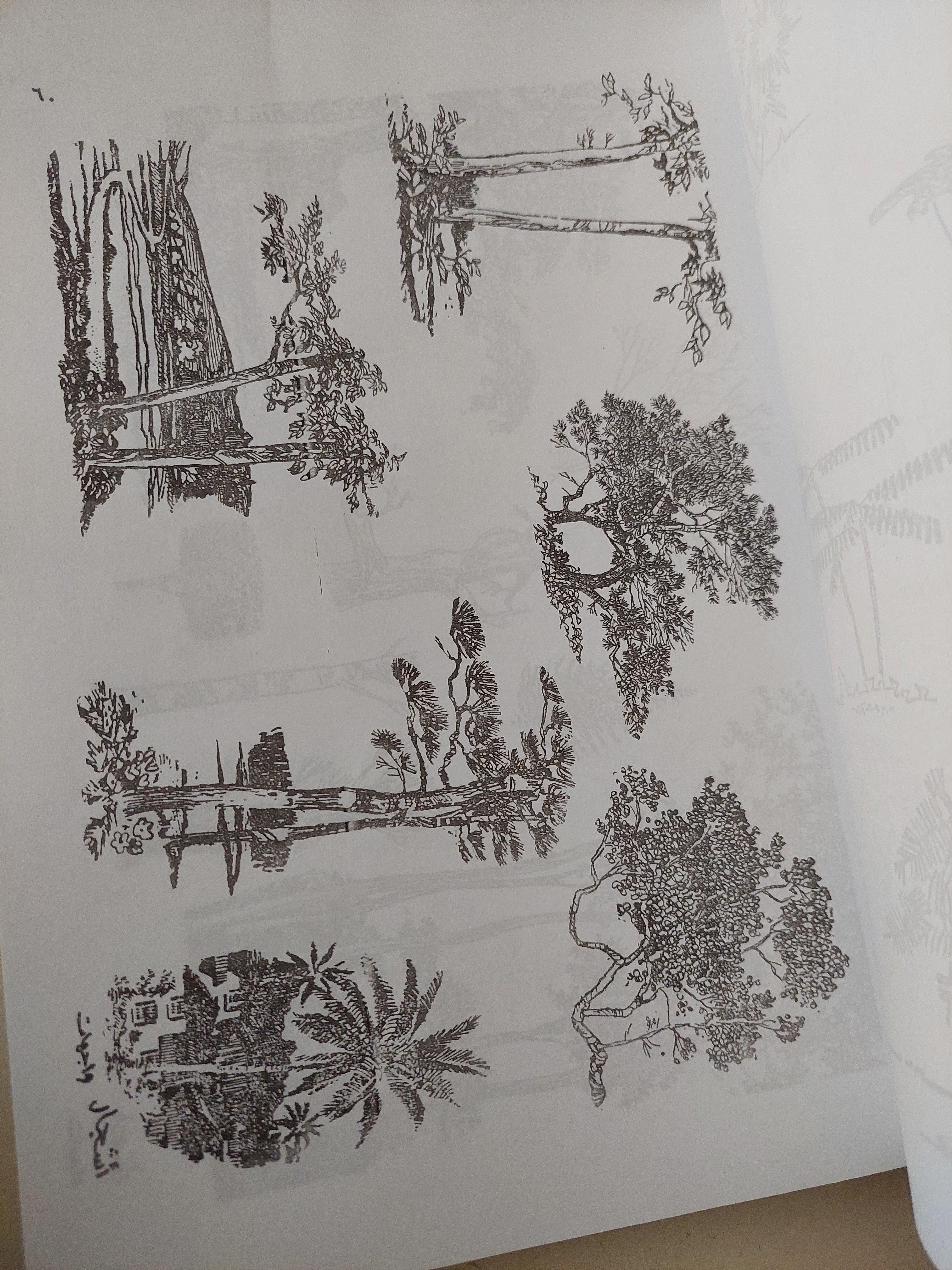 الإظهار المعمارى / محمد عبد الله - قطع كبير ملحق بالصور - متجر كتب مصرمتجر كتب مصر