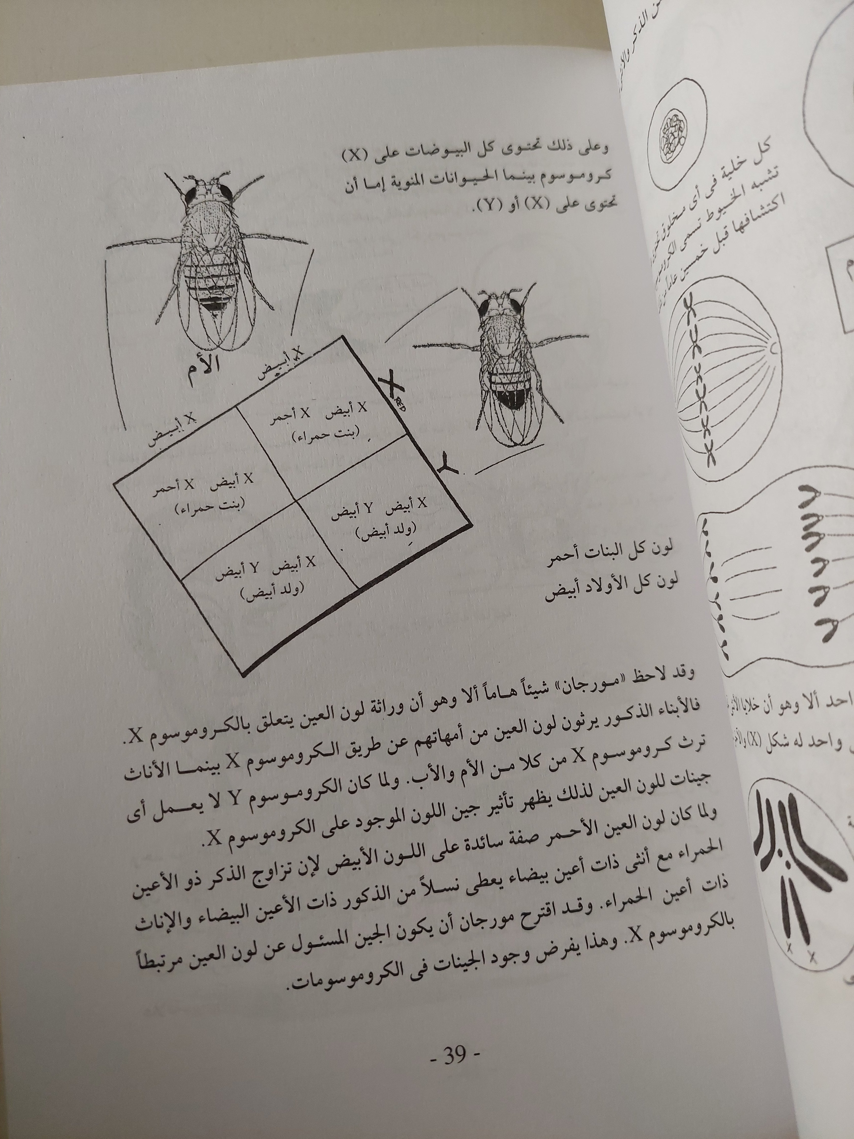 علم الوراثة / ستيف جونز وبورين فان لو - متجر كتب مصرمتجر كتب مصر