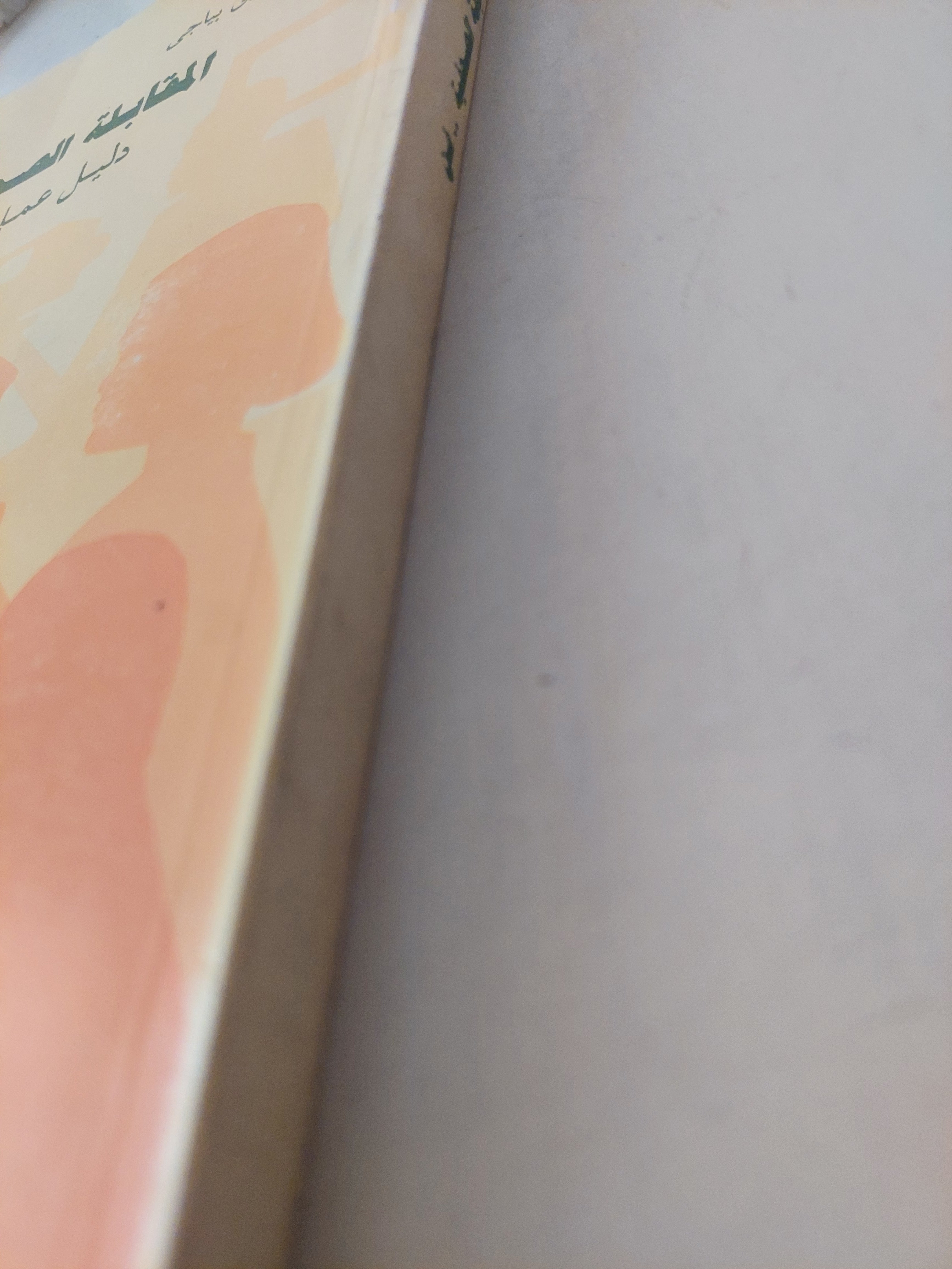 المقابلة الصحفية فن .. دليل عملى للصحفى / شيرلى باجى - متجر كتب مصرمتجر كتب مصر