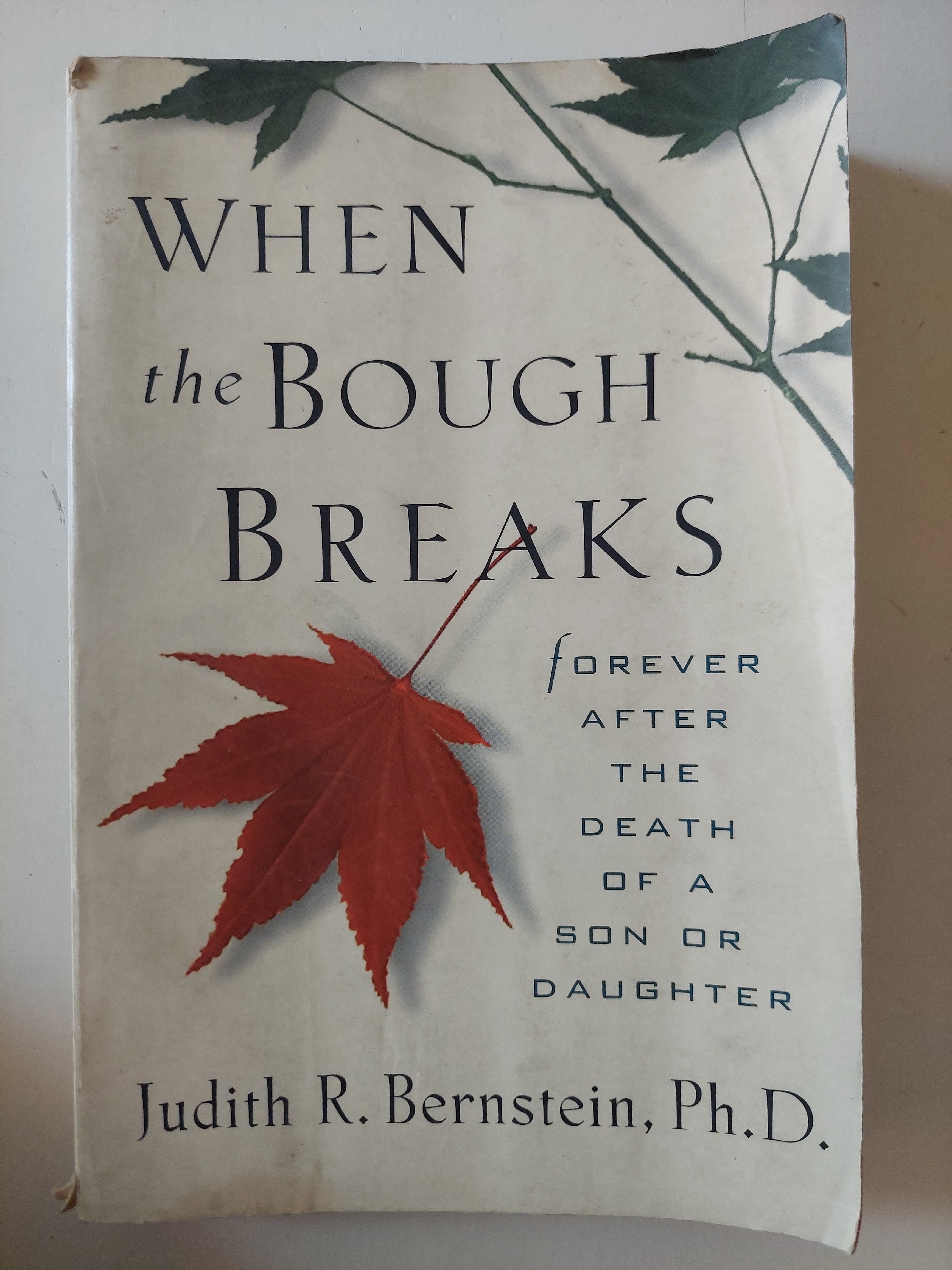 When the Bough breaks / Judith R. Bernstein