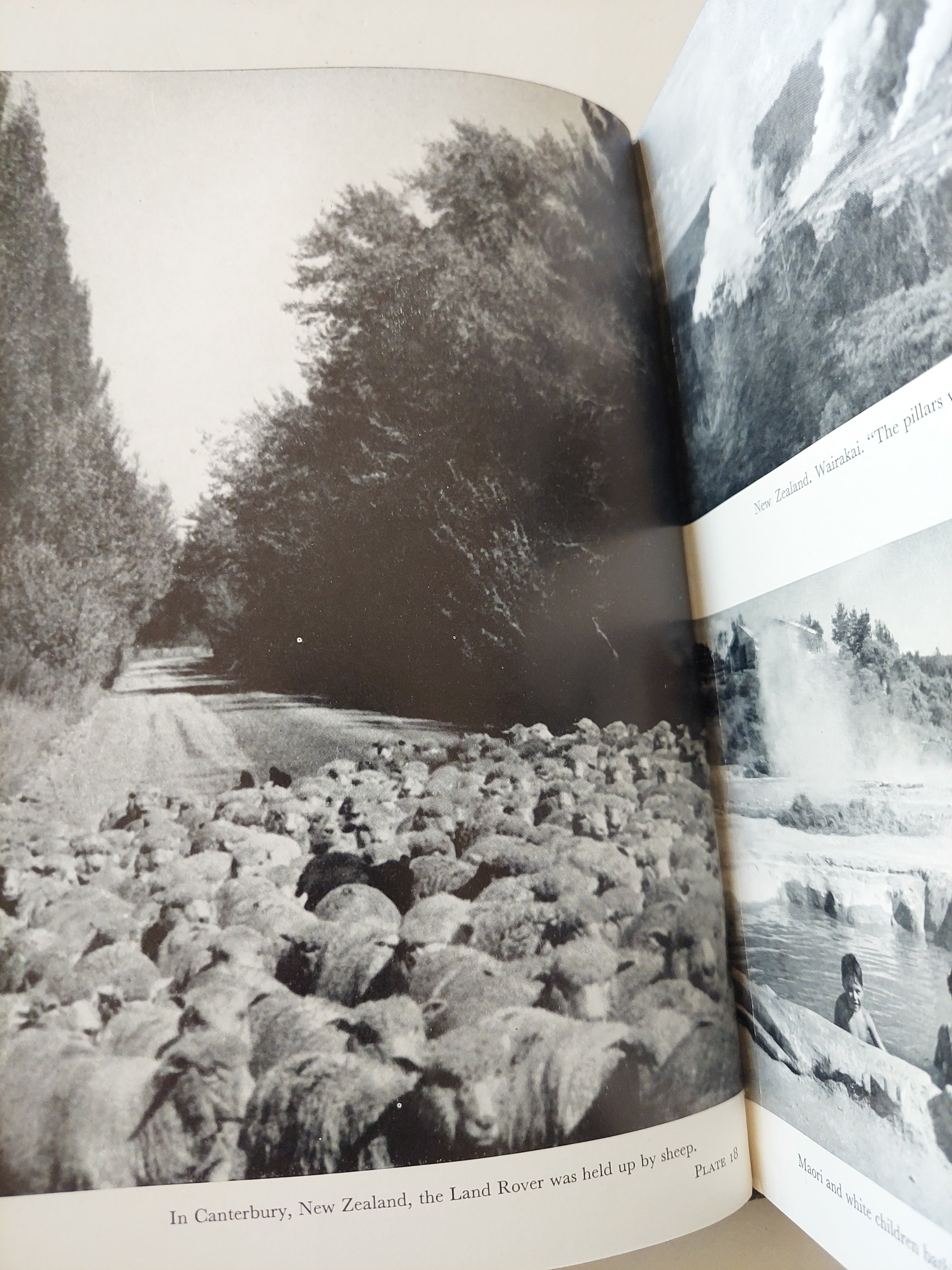 Earth my friend / Peter Townsend - هارد كفر ملحق بالصور - متجر كتب مصرمتجر كتب مصر