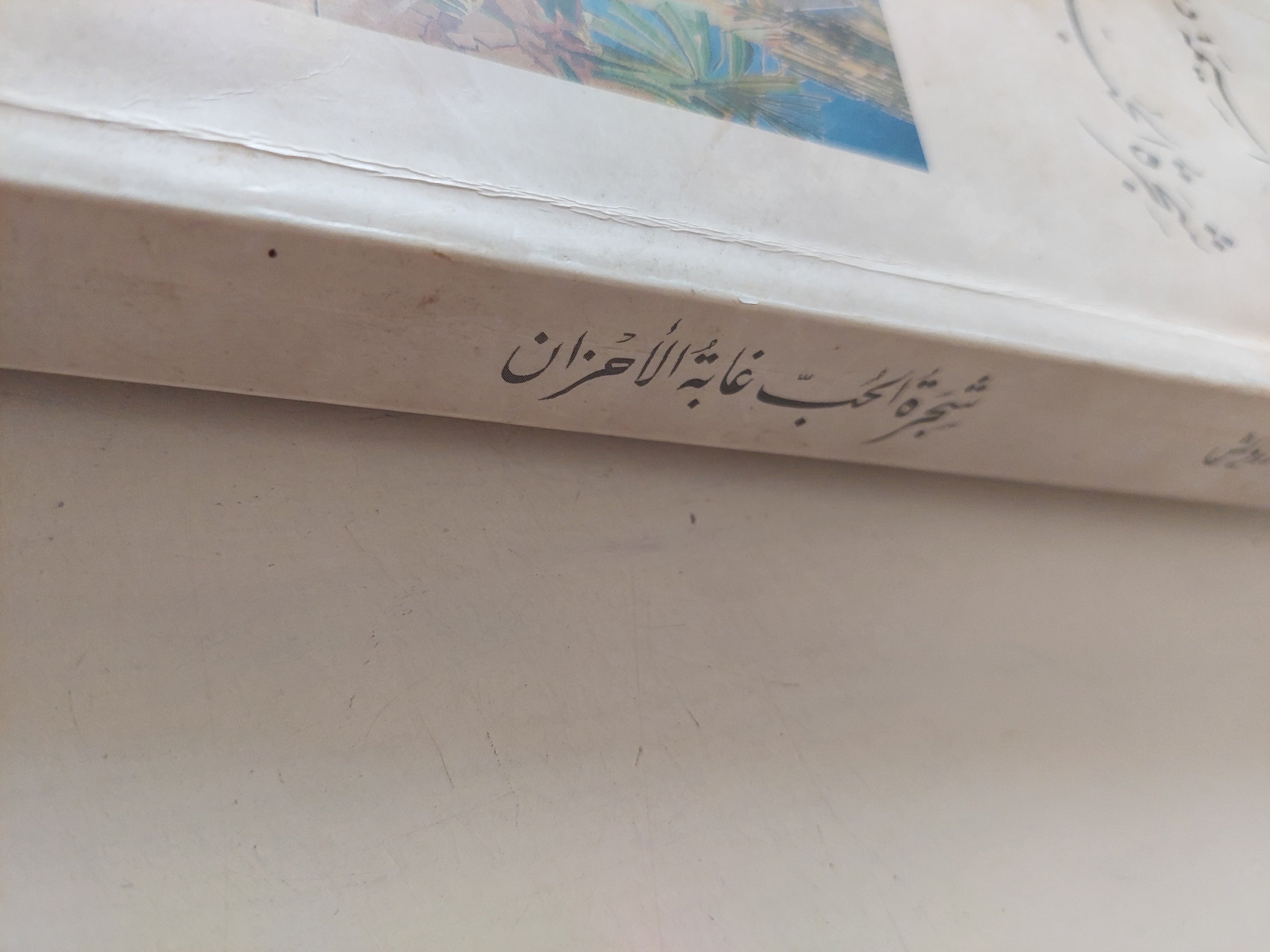 شجرة الحب غابة الأحزان / أسيمة درويش - متجر كتب مصرمتجر كتب مصر