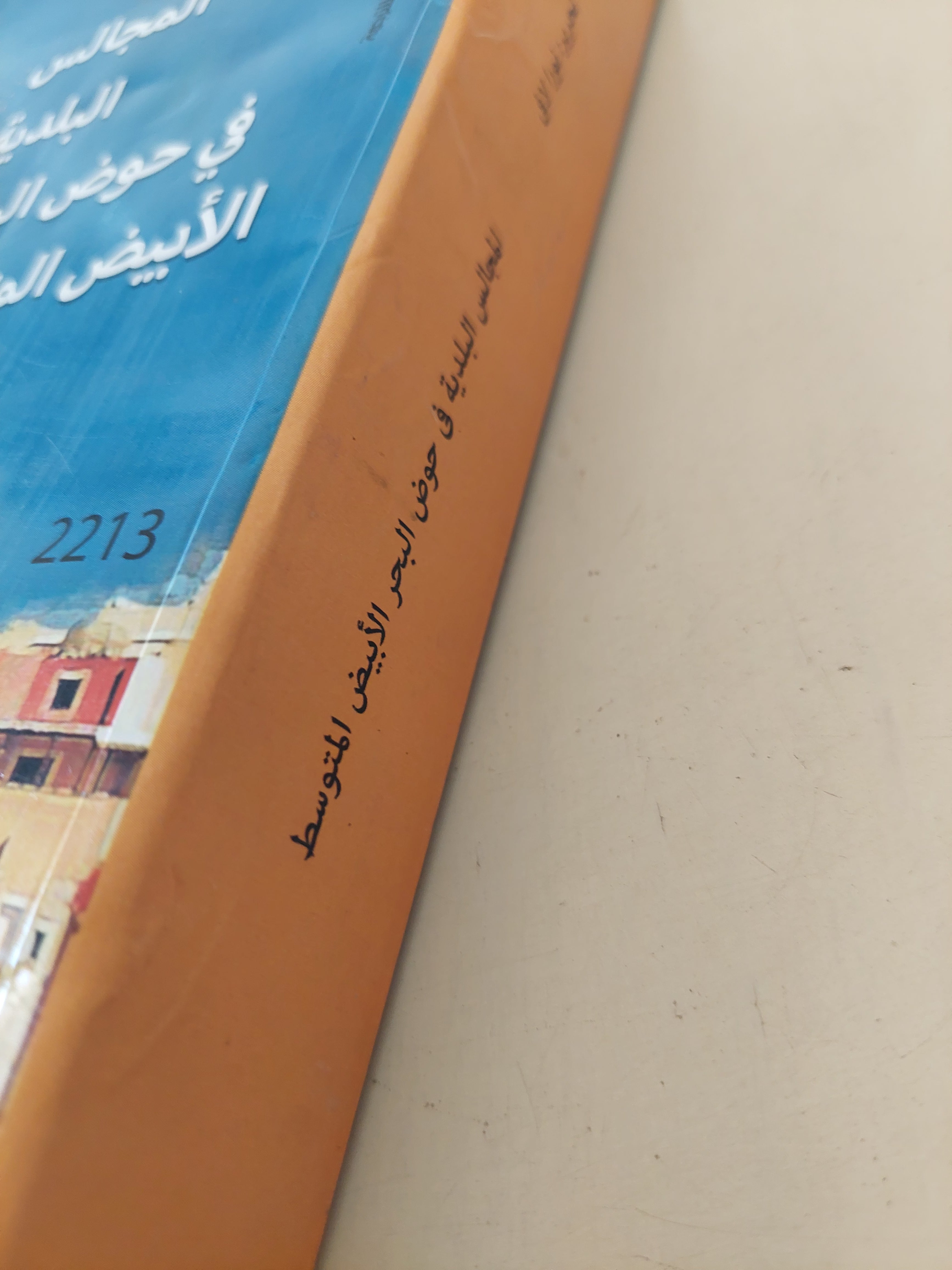 المجالس البلدية فى حوض البحر المتوسط / نورا لافى - متجر كتب مصرمتجر كتب مصر