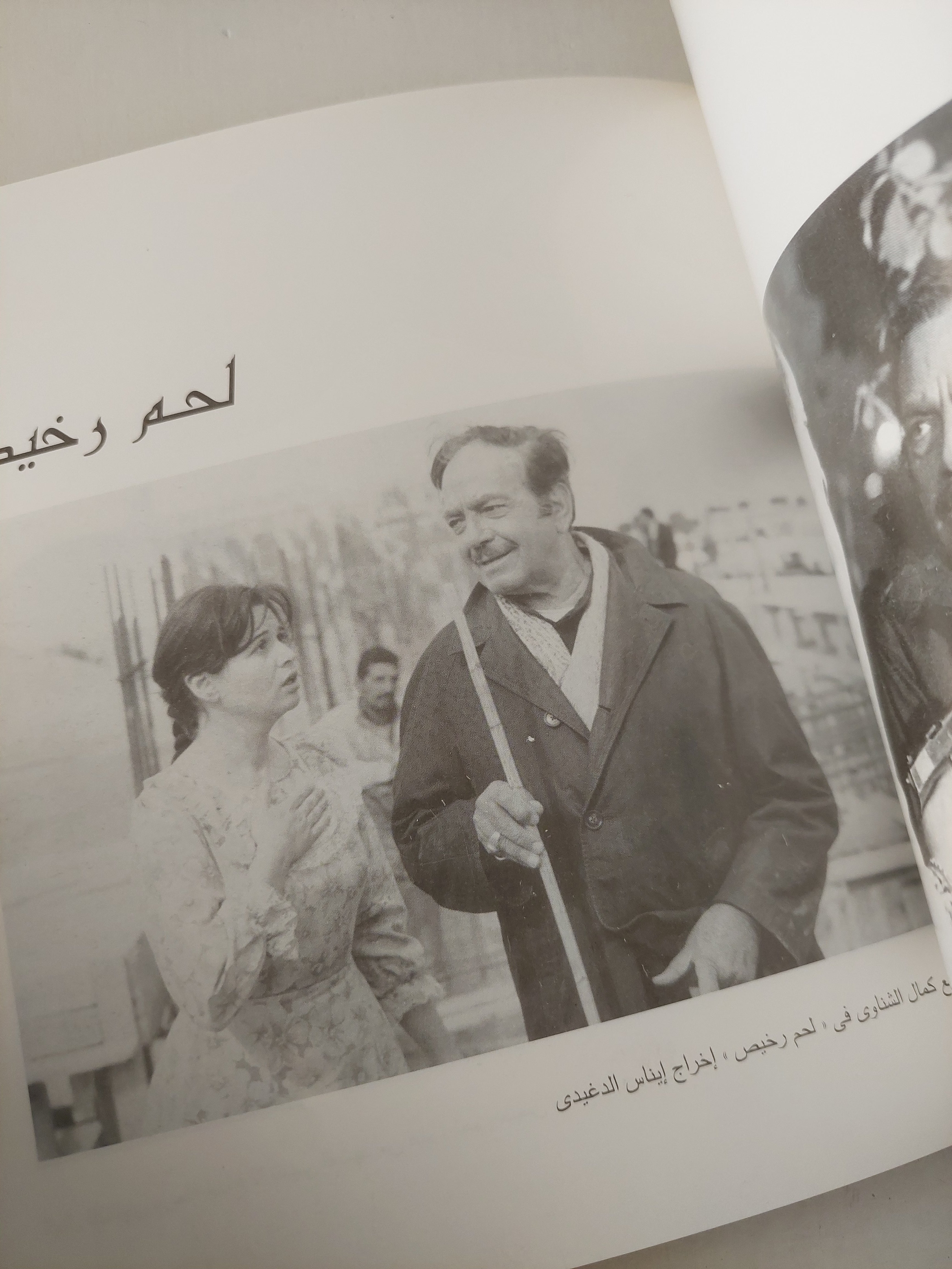 كمال الشناوى شمس لا تغيب / على أبو شادى - قطع كبير / ملحق بالصور - متجر كتب مصرمتجر كتب مصر