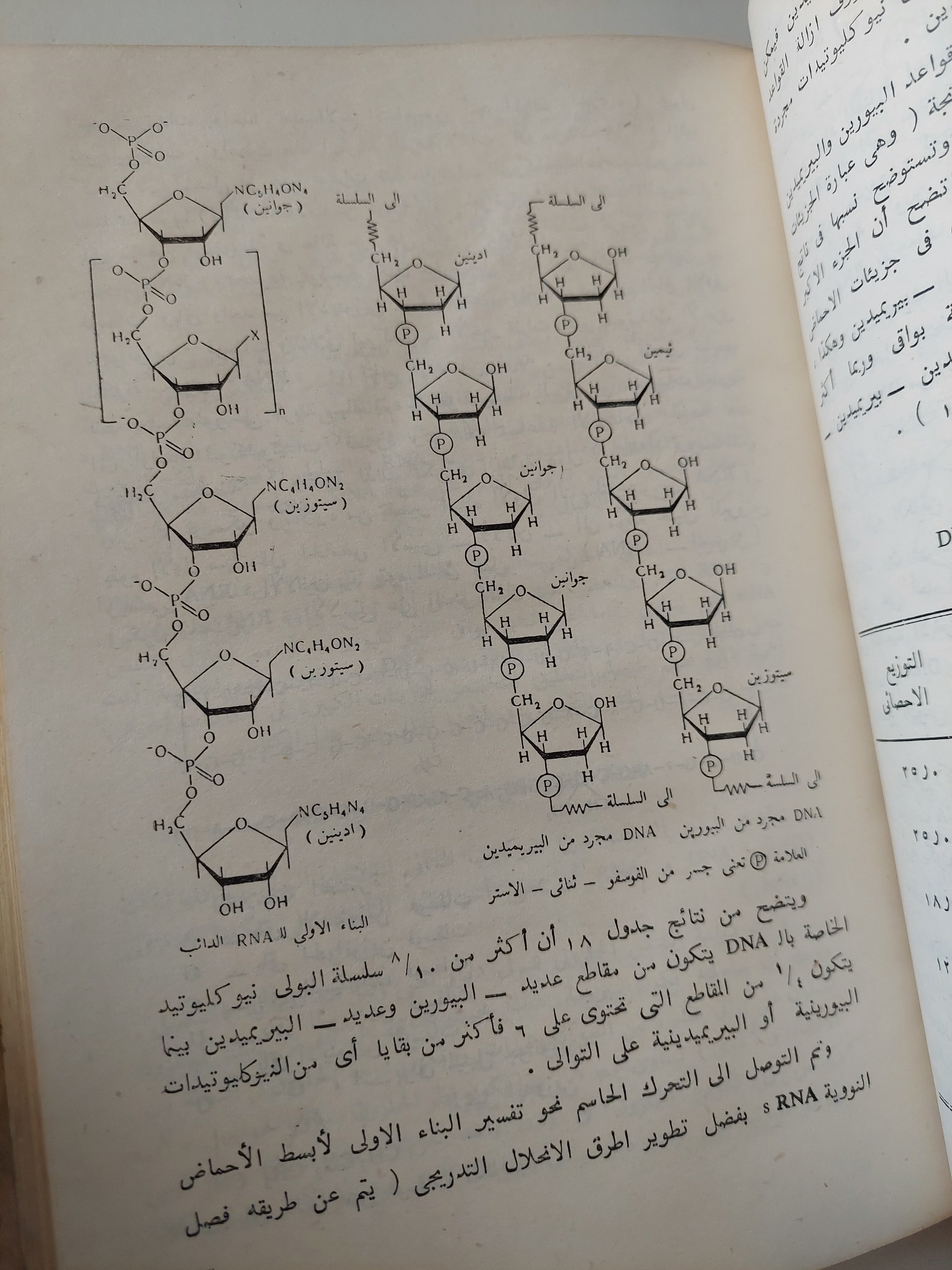 أسس الكيمياء الحيوية / يو فيليبوفيتش - جزئين هارد كفر - متجر كتب مصرمتجر كتب مصر
