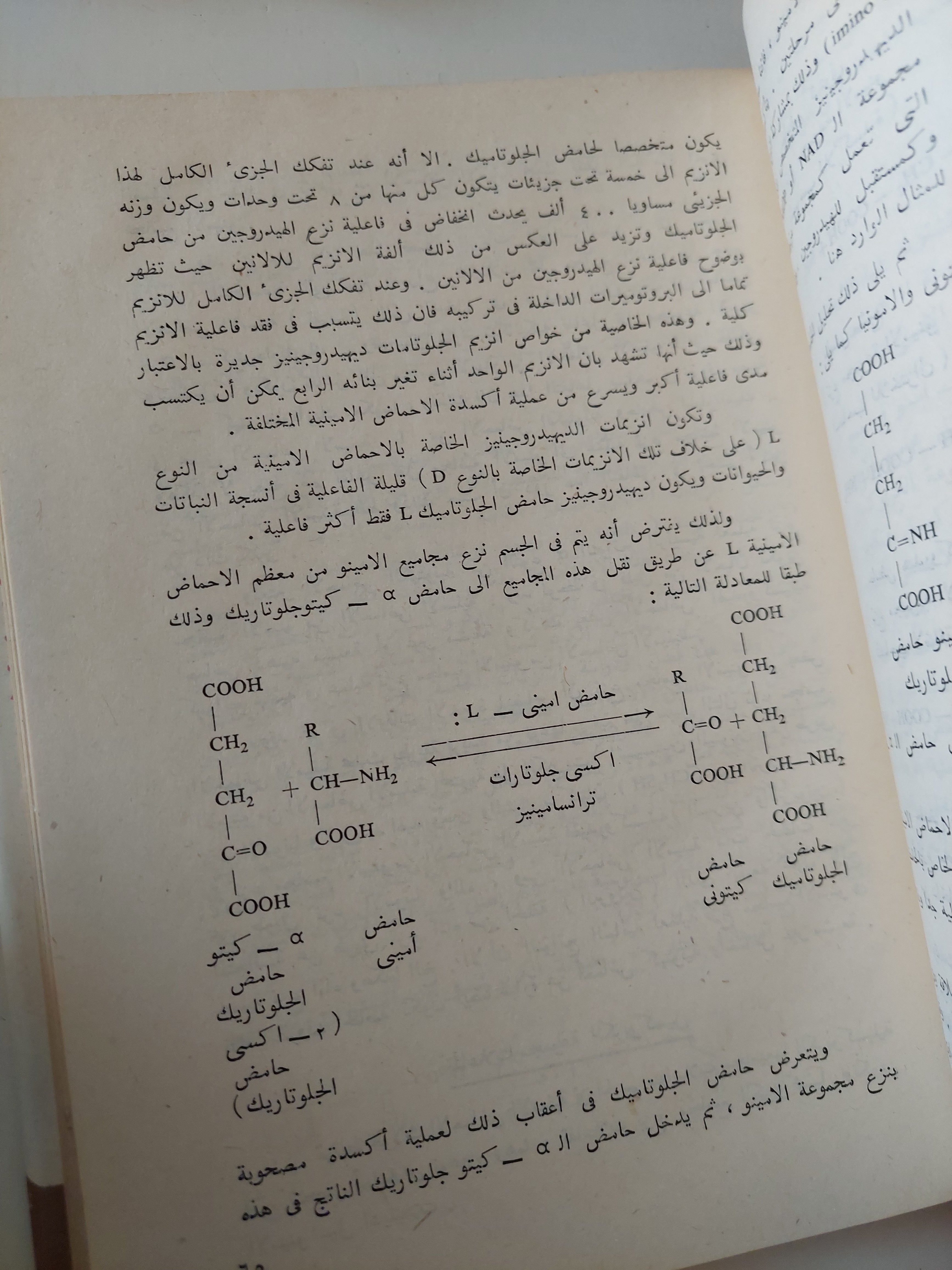أسس الكيمياء الحيوية / يو فيليبوفيتش - جزئين هارد كفر - متجر كتب مصرمتجر كتب مصر