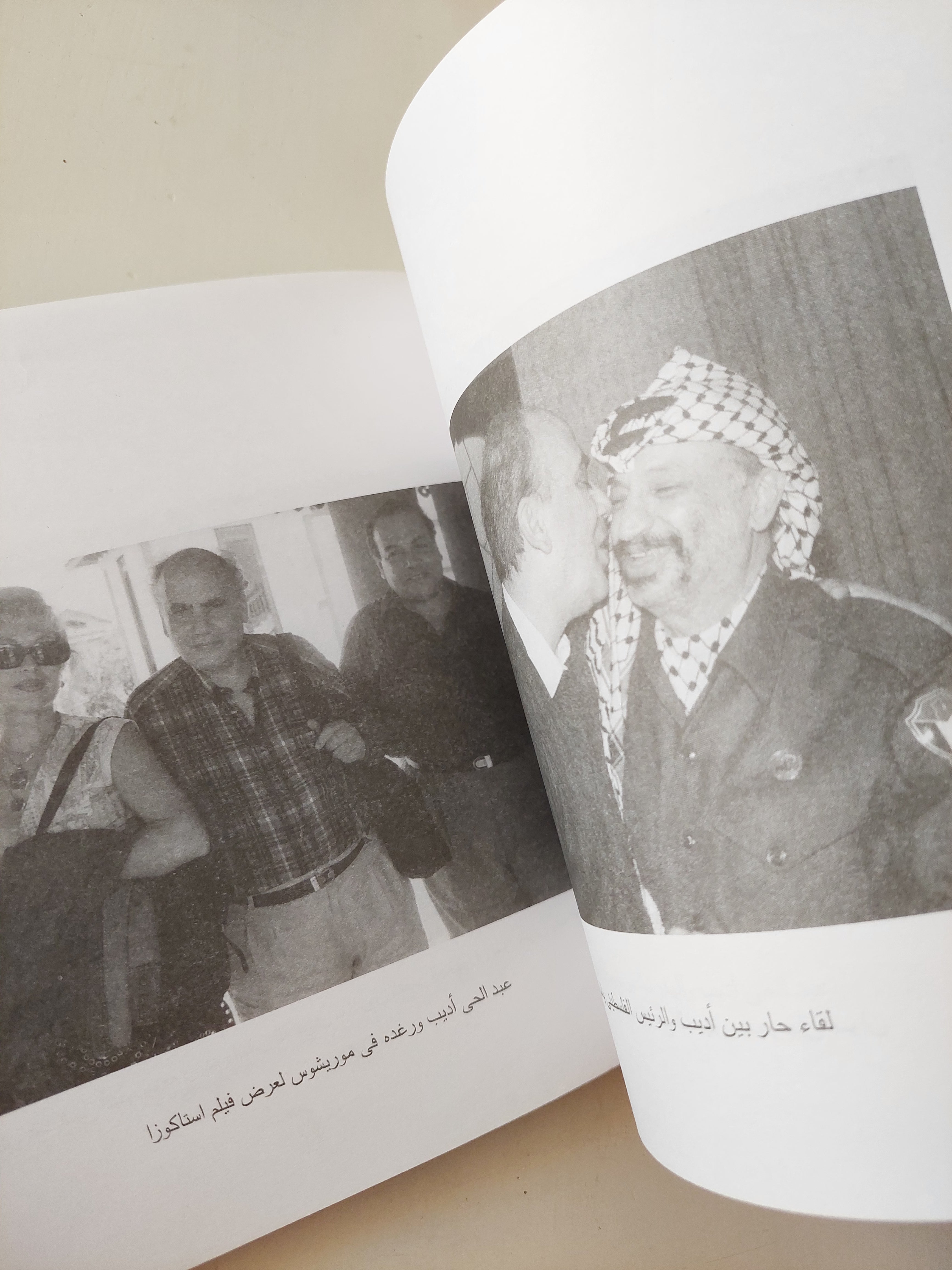 عبد الحى أديب دراما بلا حدود / نهاد إبراهيم - قطع كبير ملحق بالصور - متجر كتب مصرمتجر كتب مصر