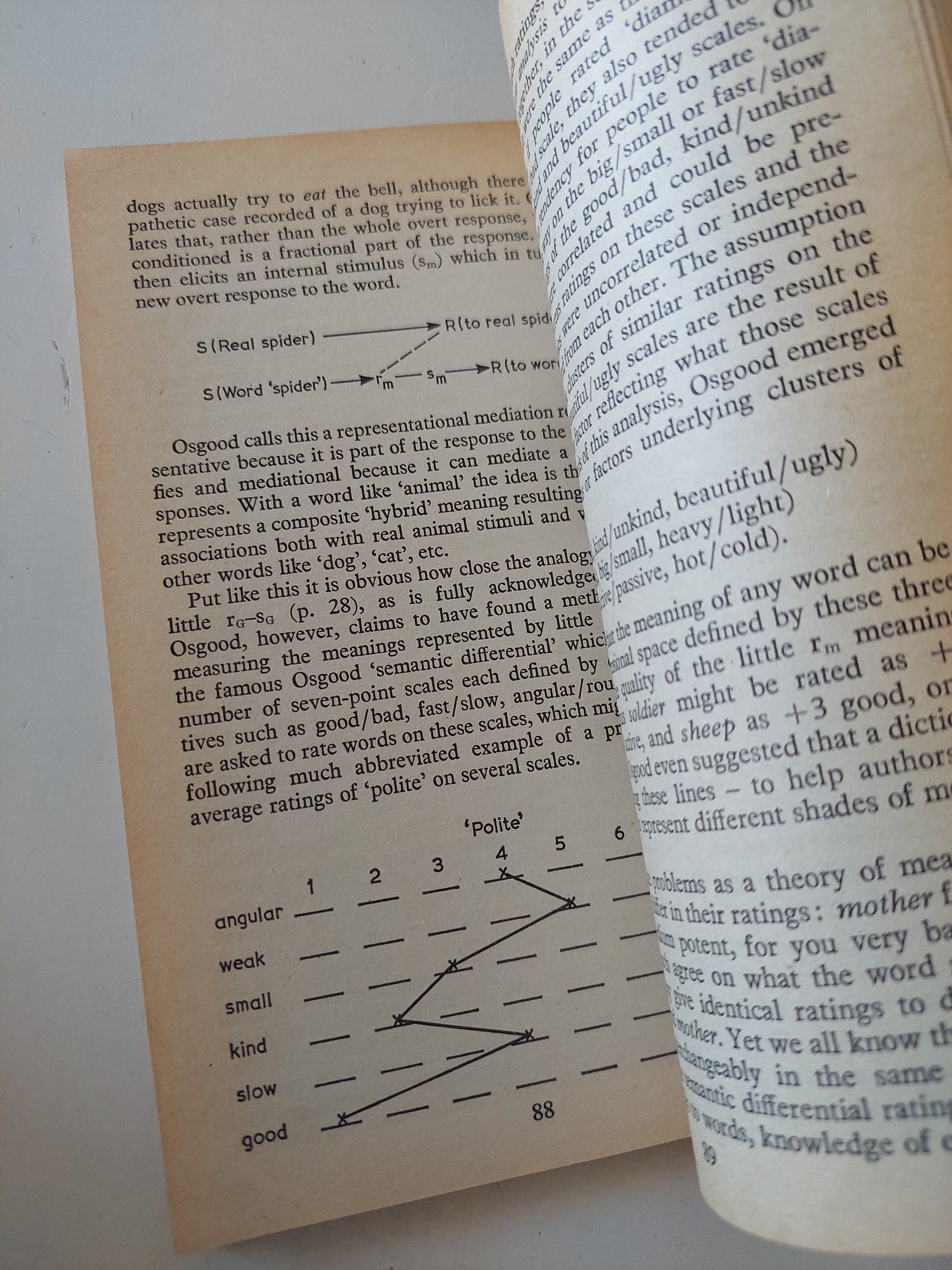 Thinking and Language / Judith Creene - متجر كتب مصرمتجر كتب مصر