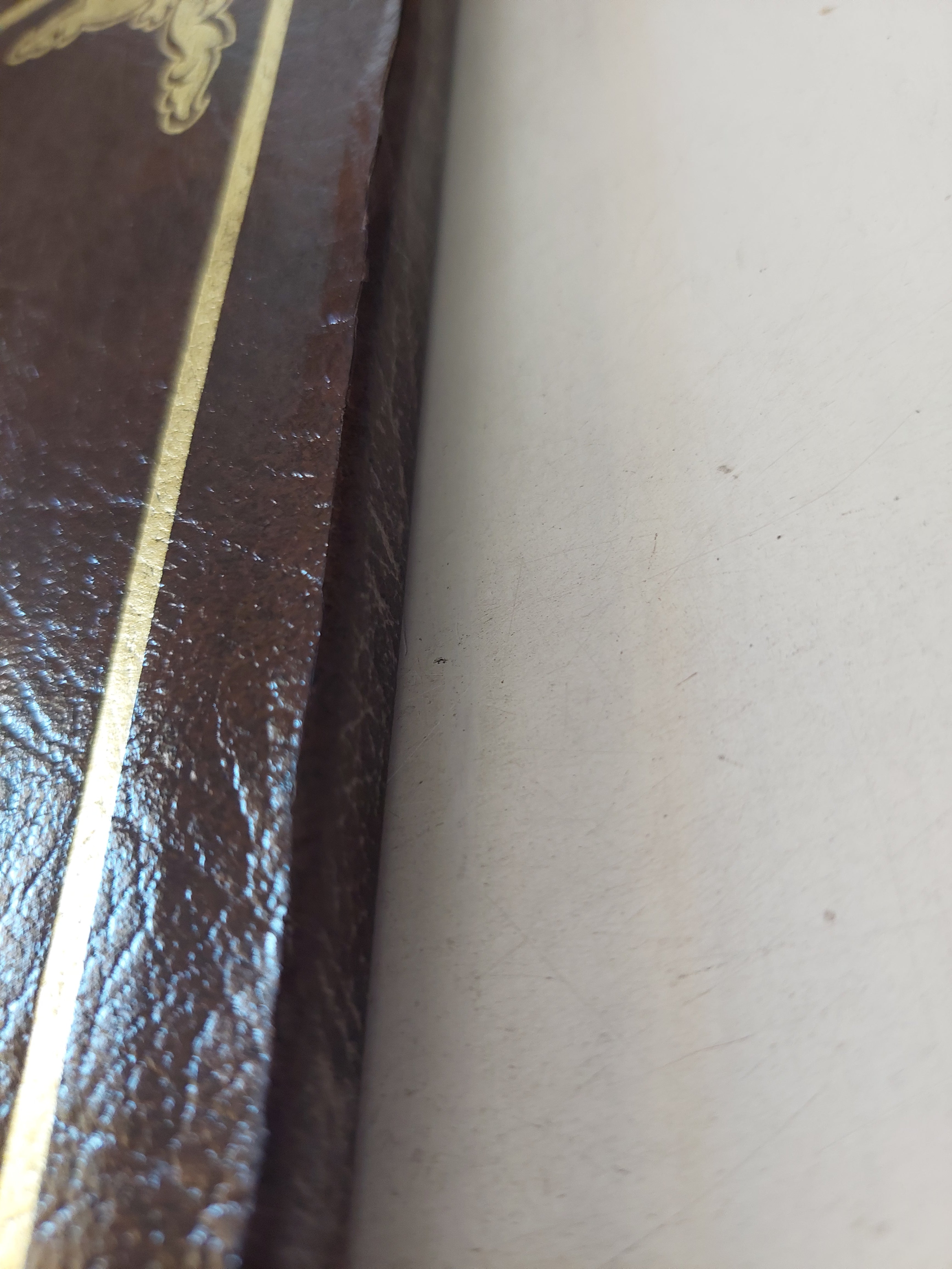 نظم الحكم فى الإسلام / الشيخ محى البرازى - هارد كفر - متجر كتب مصرمتجر كتب مصر