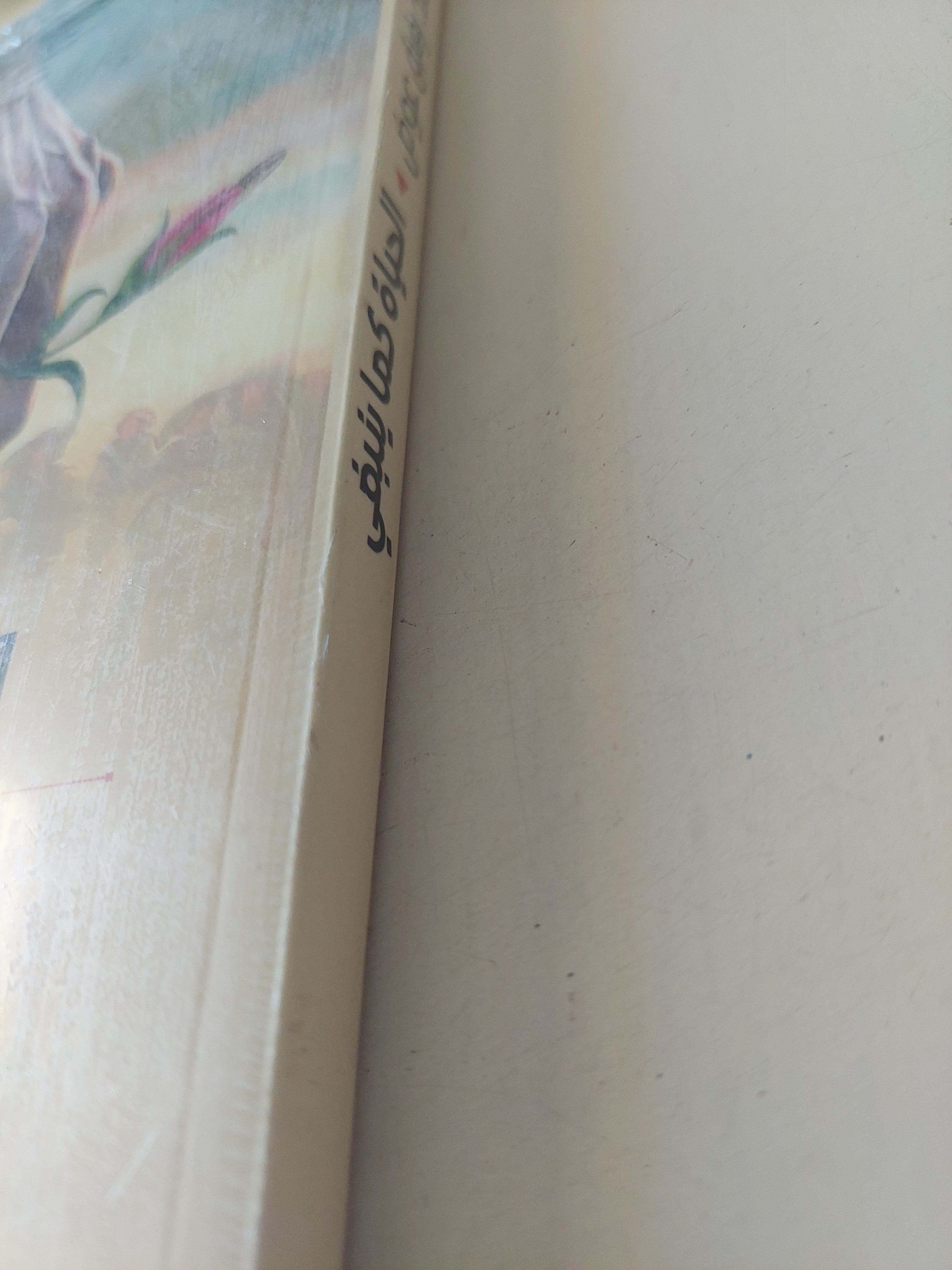 الحياة كما ينبغى / أحمد رفيق عوض - متجر كتب مصرمتجر كتب مصر