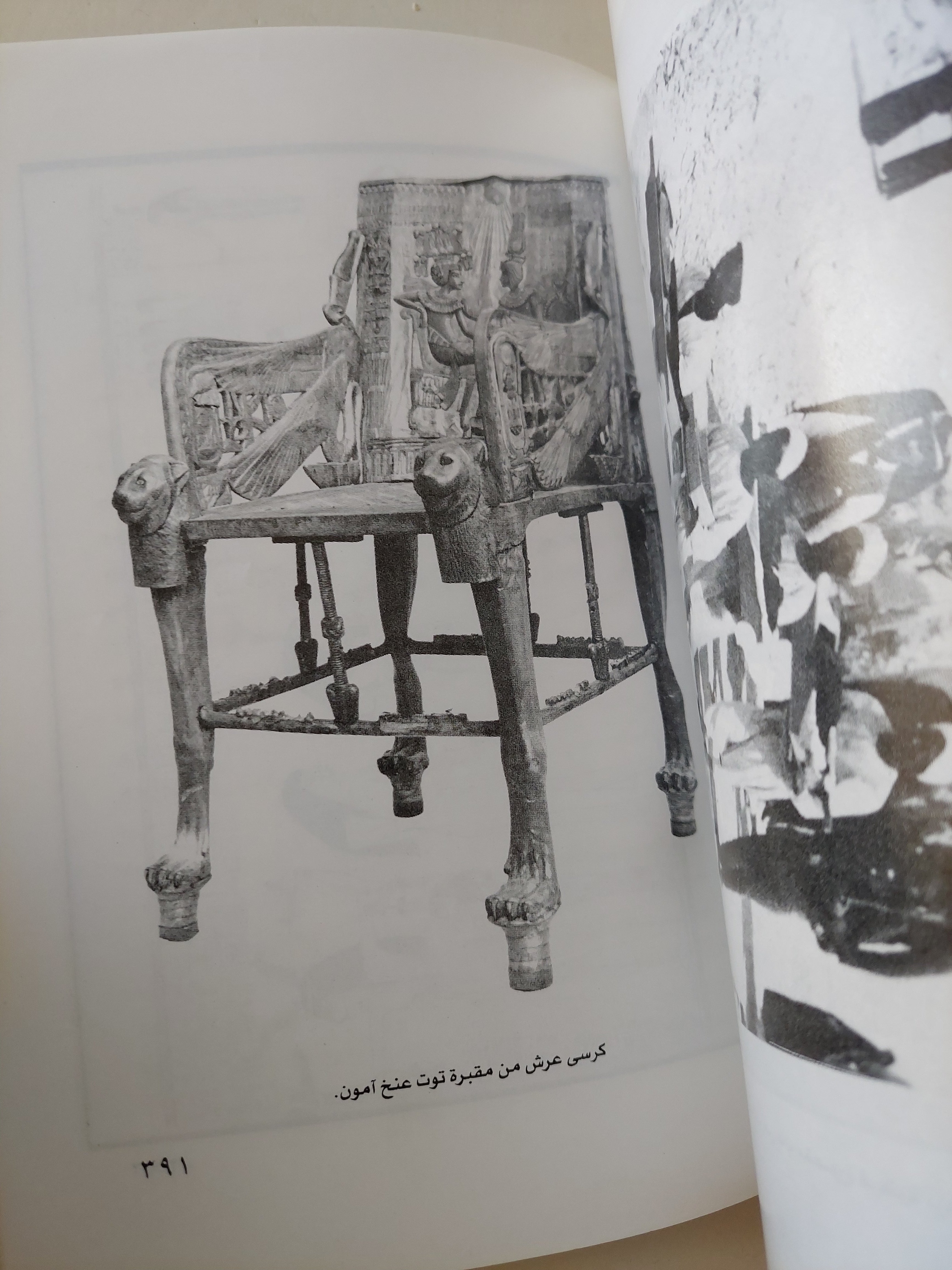 نهب آثار وادي النيل ودور لصوص المقابر / بريان فاجان - ملحق بالصور - متجر كتب مصرمتجر كتب مصر