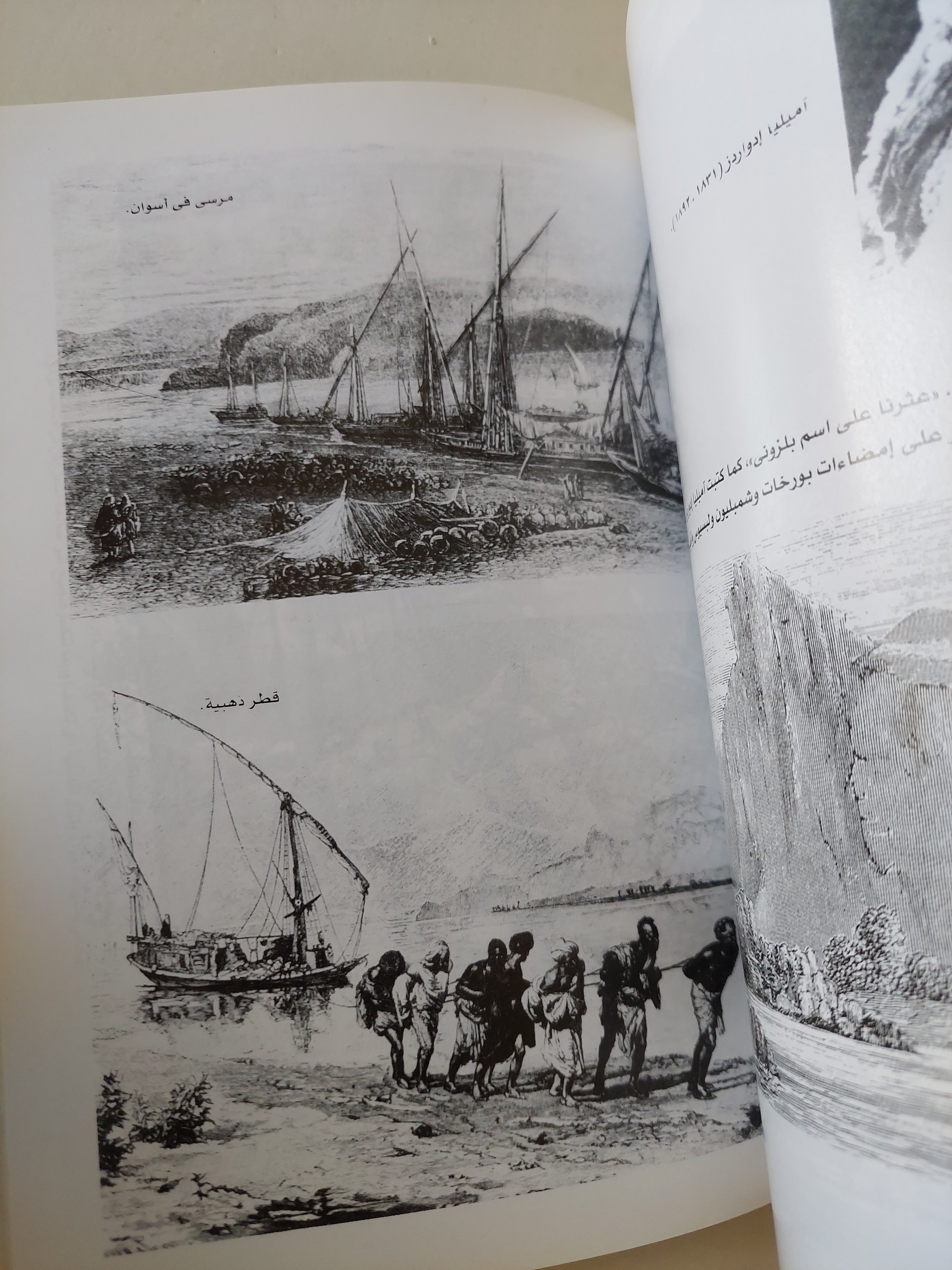 نهب آثار وادي النيل ودور لصوص المقابر / بريان فاجان - ملحق بالصور - متجر كتب مصرمتجر كتب مصر