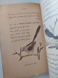التحنيط / حسين فرج وعباس السيد - الطبعة الأولي