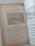 التحنيط / حسين فرج وعباس السيد - الطبعة الأولي