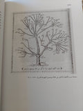 شتات اليهود المصريين / جوئل بينين