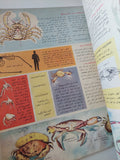 مجلة المعرفة .. العدد 104 السنة الثانية 22/3/1973 - قطع كبير