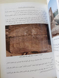طريق الالهة بين معابد الكرنك والأقصر / منصور بربك رضوان