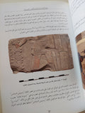 طريق الالهة بين معابد الكرنك والأقصر / منصور بربك رضوان