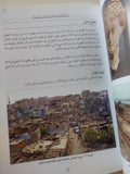 طريق الالهة بين معابد الكرنك والأقصر / منصور بربك رضوان