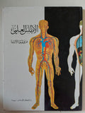 الأطلس العلمى .. فيزيولوجيا الإنسان