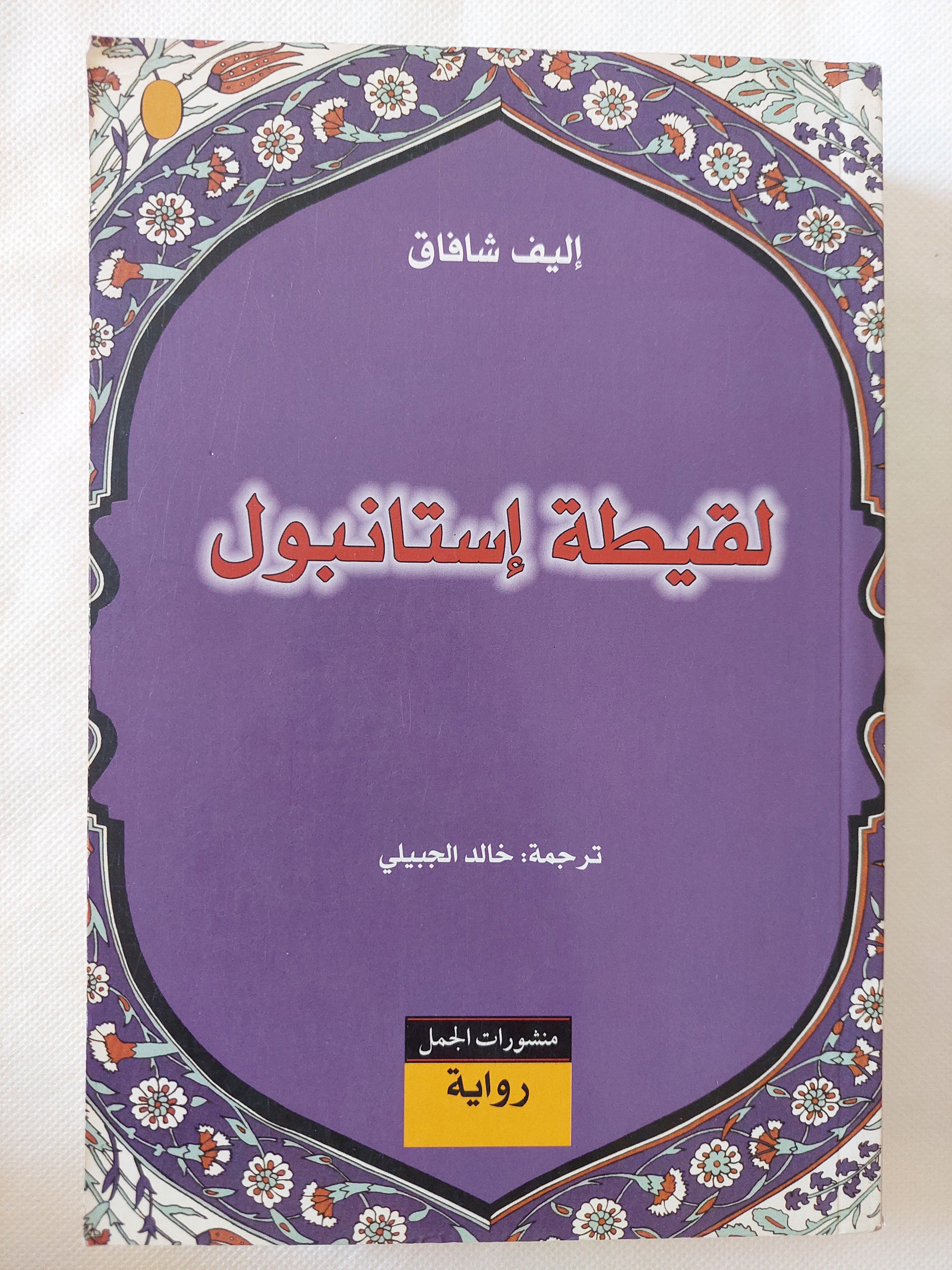لقيطة إستانبول / إليف شافاق