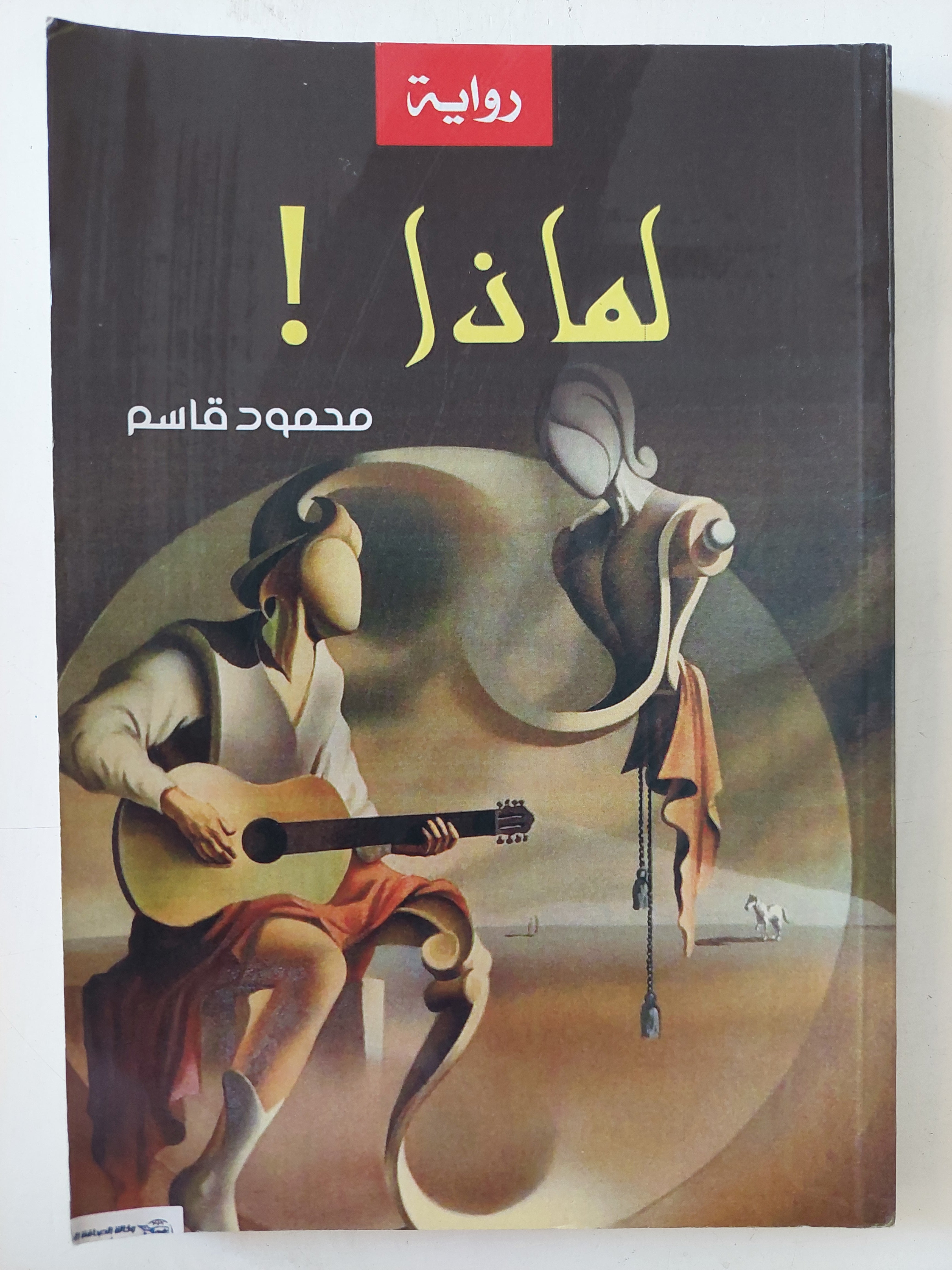 لماذا محمود قاسم
