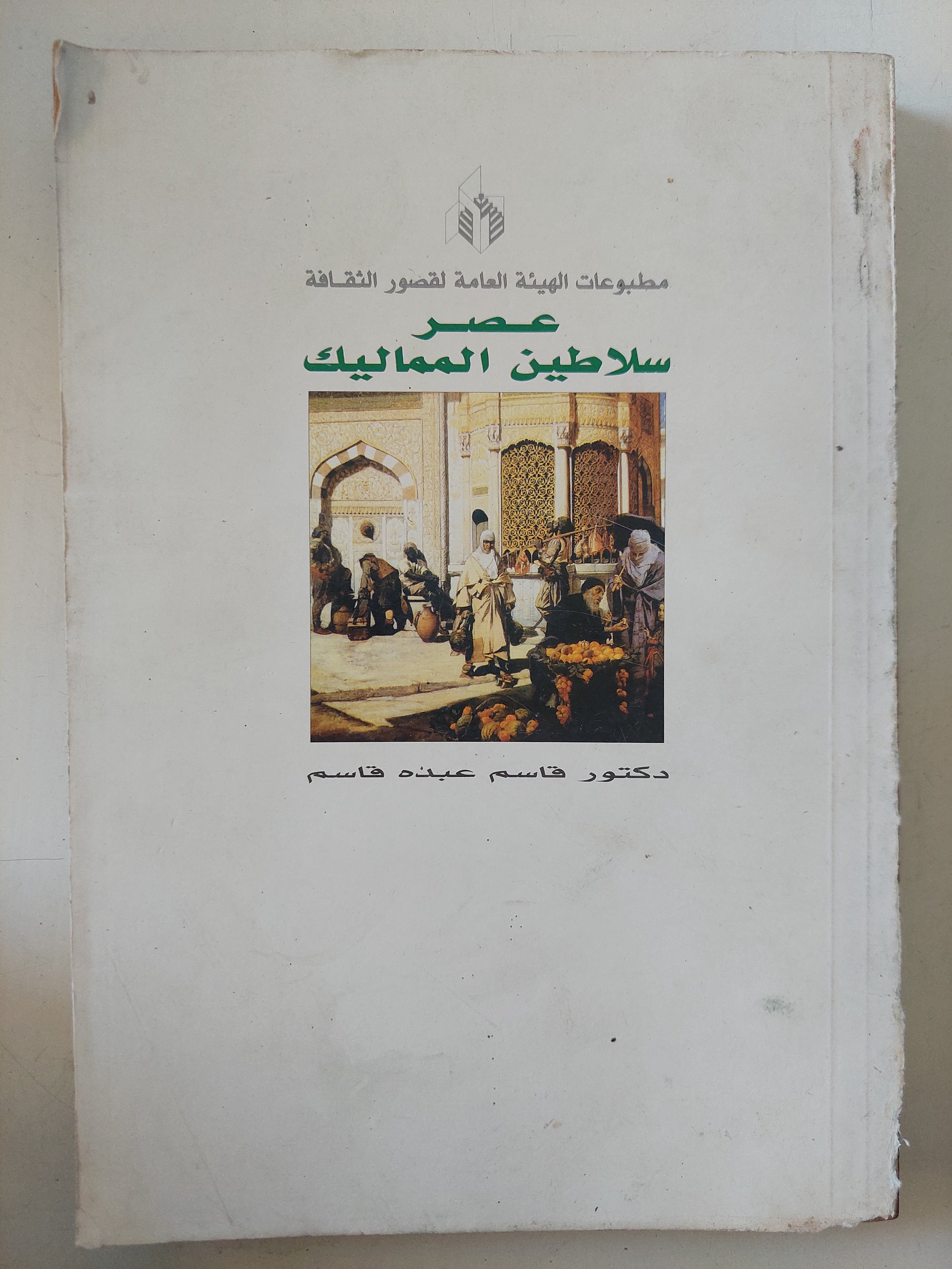 عصر سلاطين المماليك / قاسم عبده قاسم
