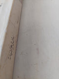 مدخل الى علم السياسة / جان مينو