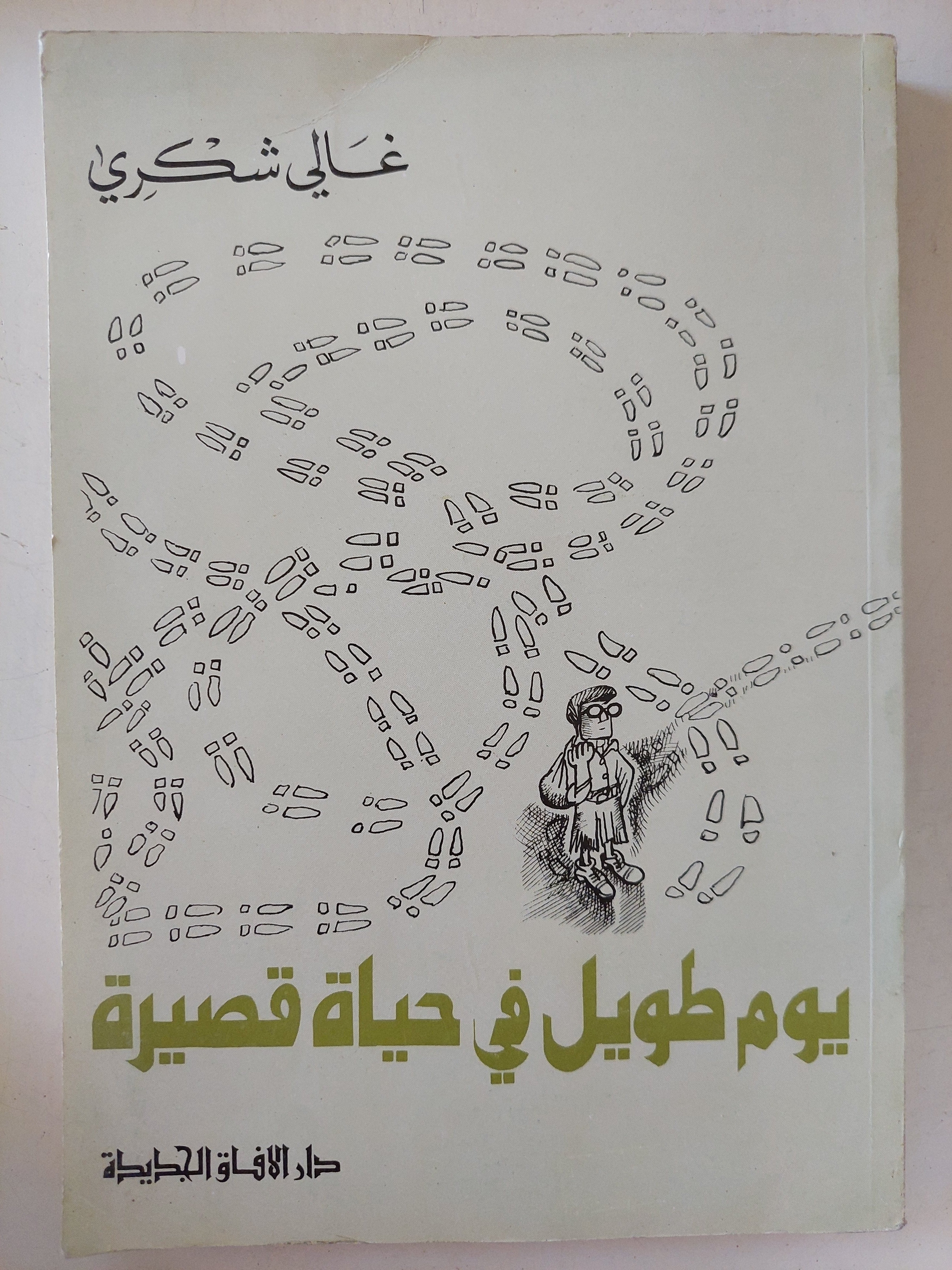 يوم طويل فى حياة قصيرة / غالى شكرى