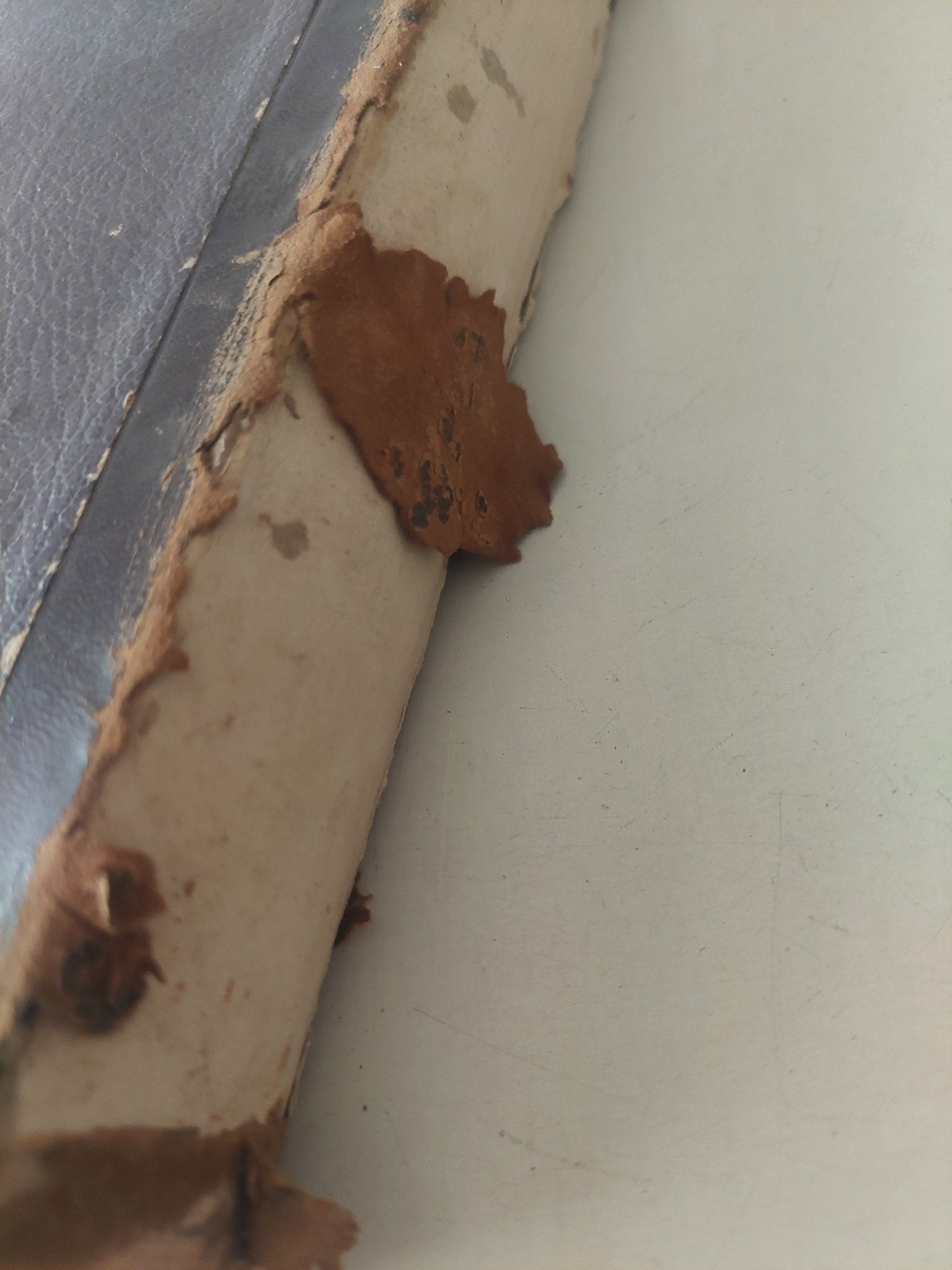 ٥ كتب في مجلد واحد هارد كفر - متجر كتب مصر - متجر كتب مصر