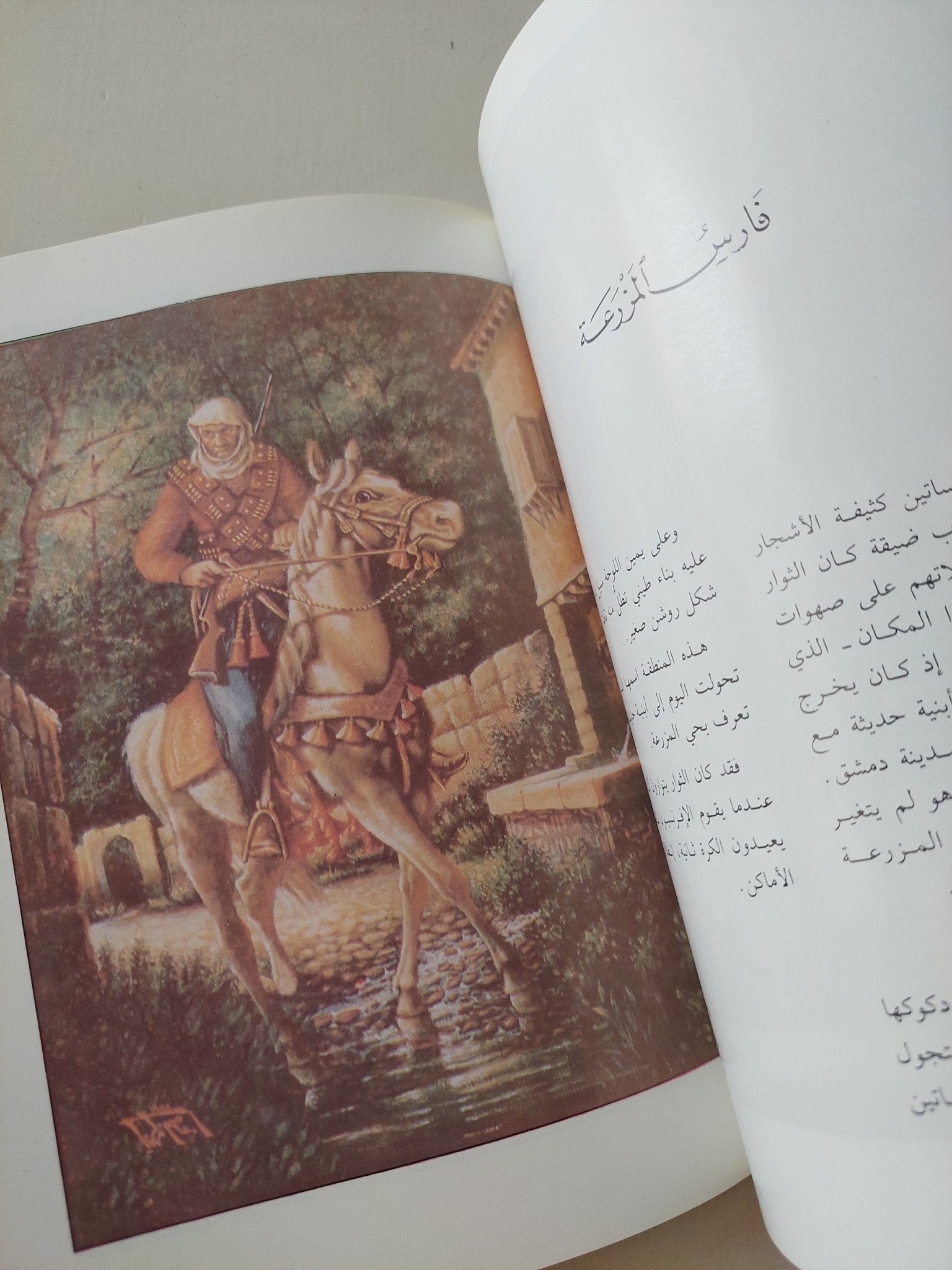 عاصم زكريا / أحمد يوسف الدقاق - ملحق بالصور - متجر كتب مصرمتجر كتب مصر