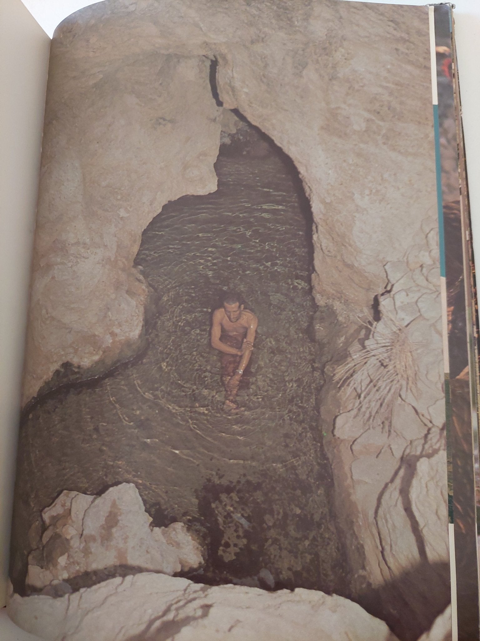 عمان بالألوان - قطع كبير هارد كفر - متجر كتب مصر - متجر كتب مصر