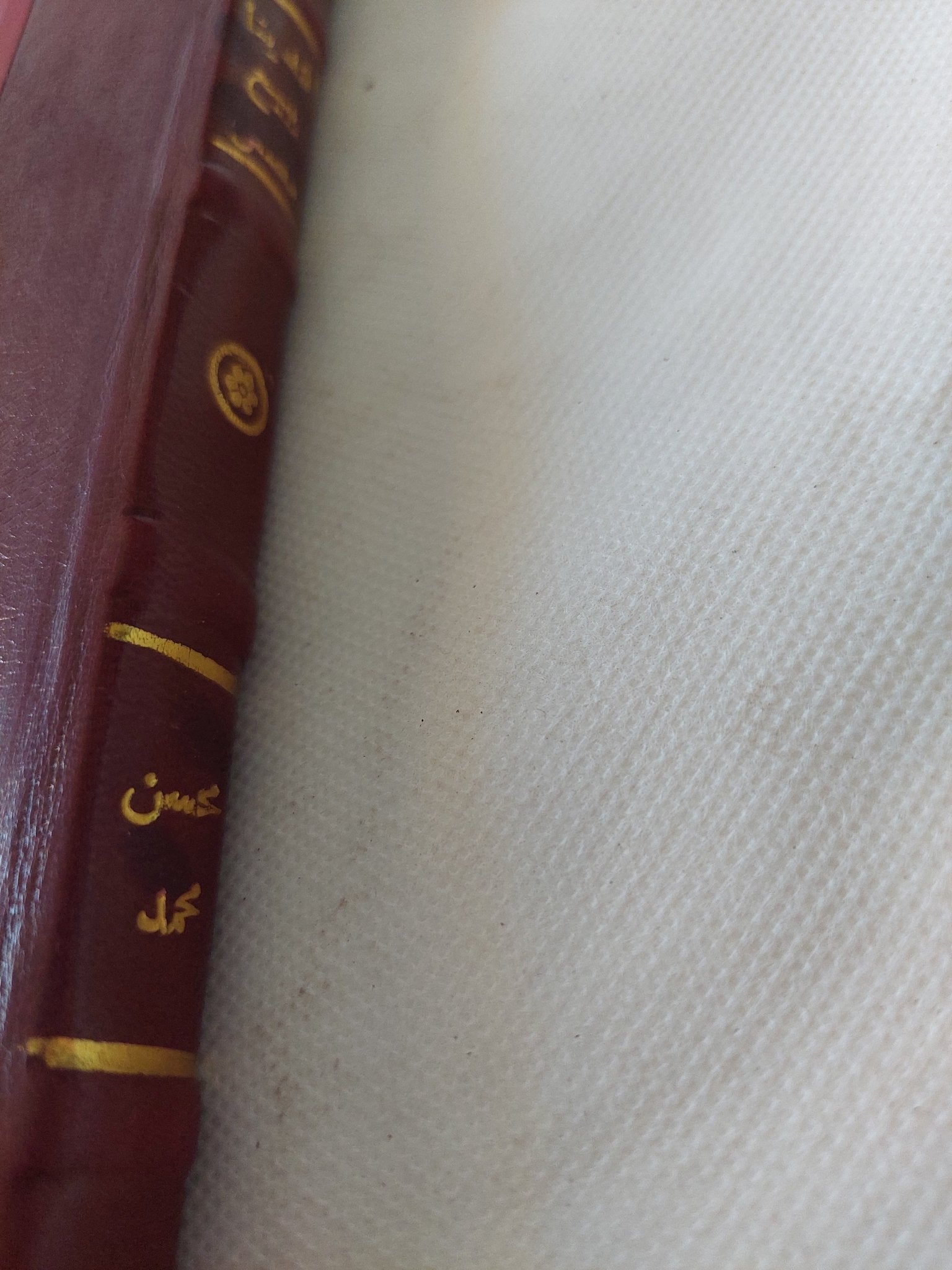 أفندينا يبيع مصر / محسن محمد - هارد كفر - متجر كتب مصر - المكتبة الفلسفية