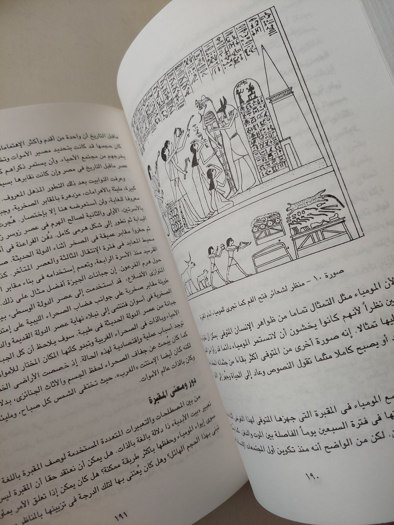 الألهة والناس فى مصر / فرنسواز دونان - كريستيان زفى كوش - متجر كتب مصرمتجر كتب مصر