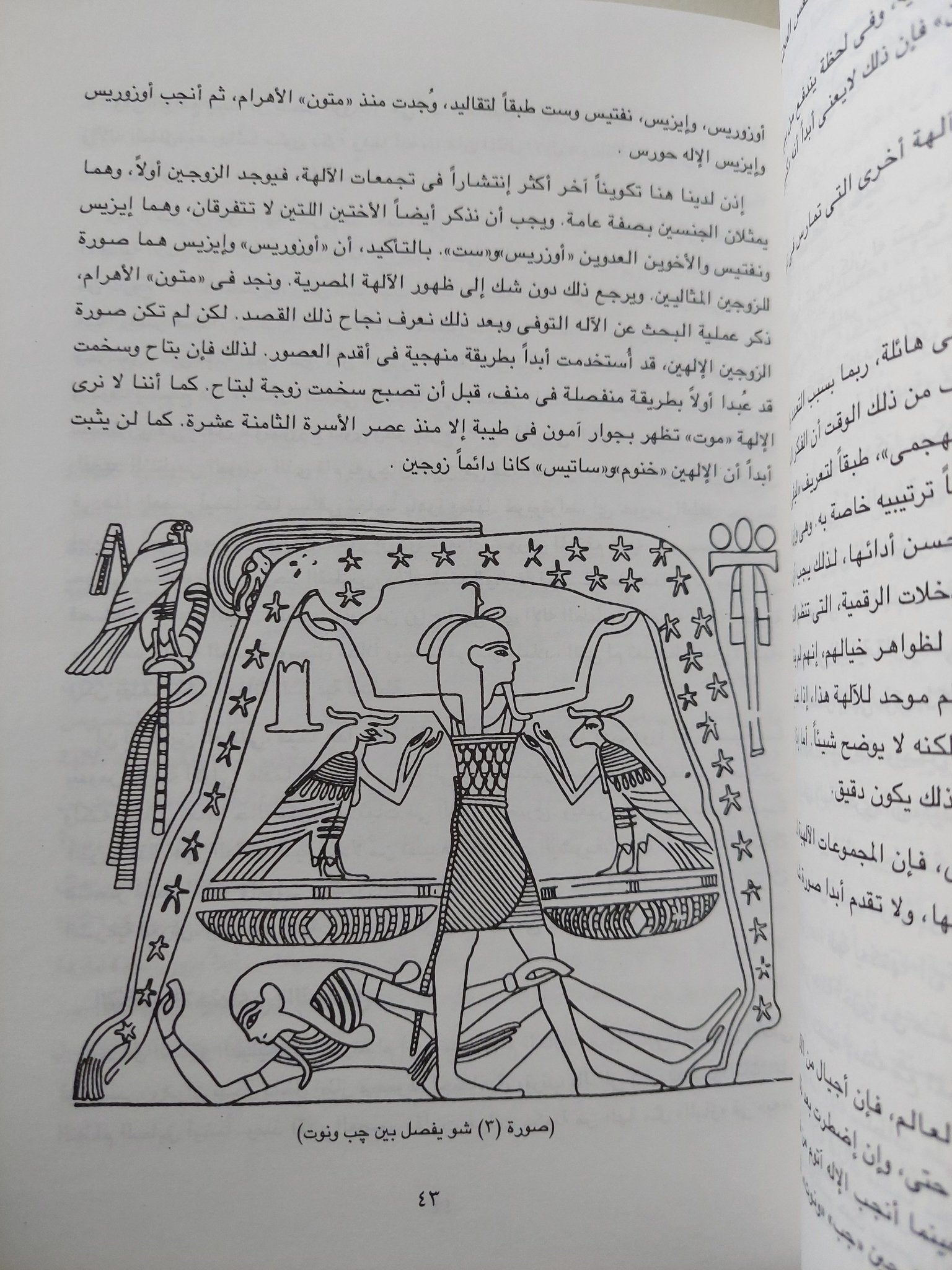 الألهة والناس فى مصر / فرنسواز دونان - كريستيان زفى كوش - متجر كتب مصرمتجر كتب مصر