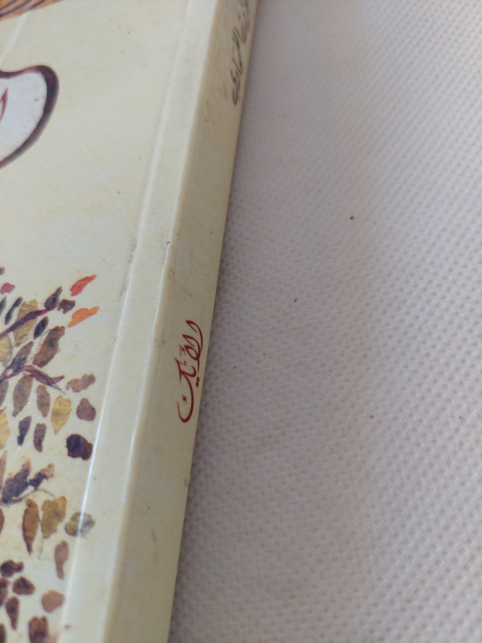 الأيك / عزت القمحاوى - متجر كتب مصر - المكتبة الفلسفية