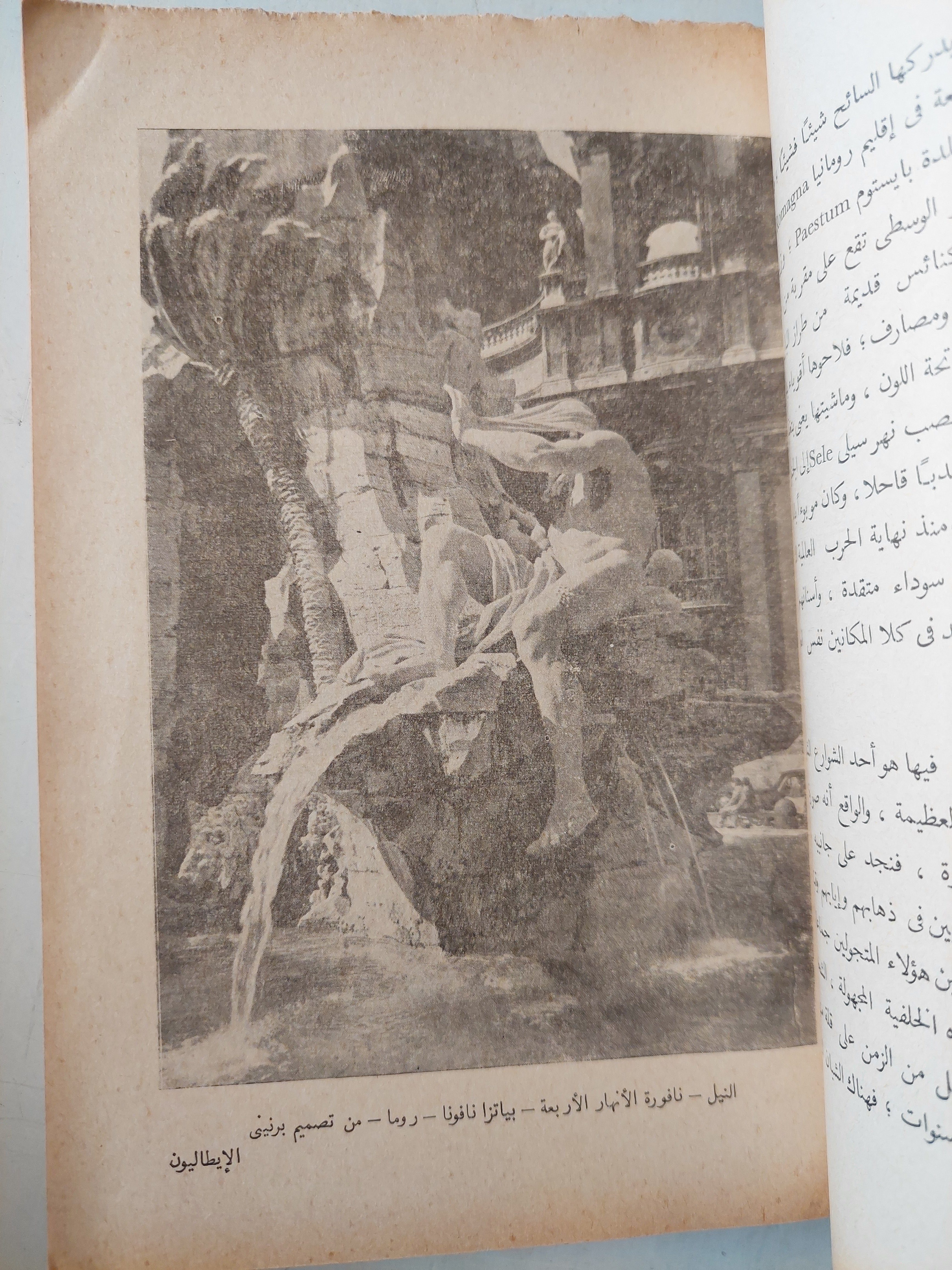 الايطاليون / لويجى - متجر كتب مصر - متجر كتب مصر