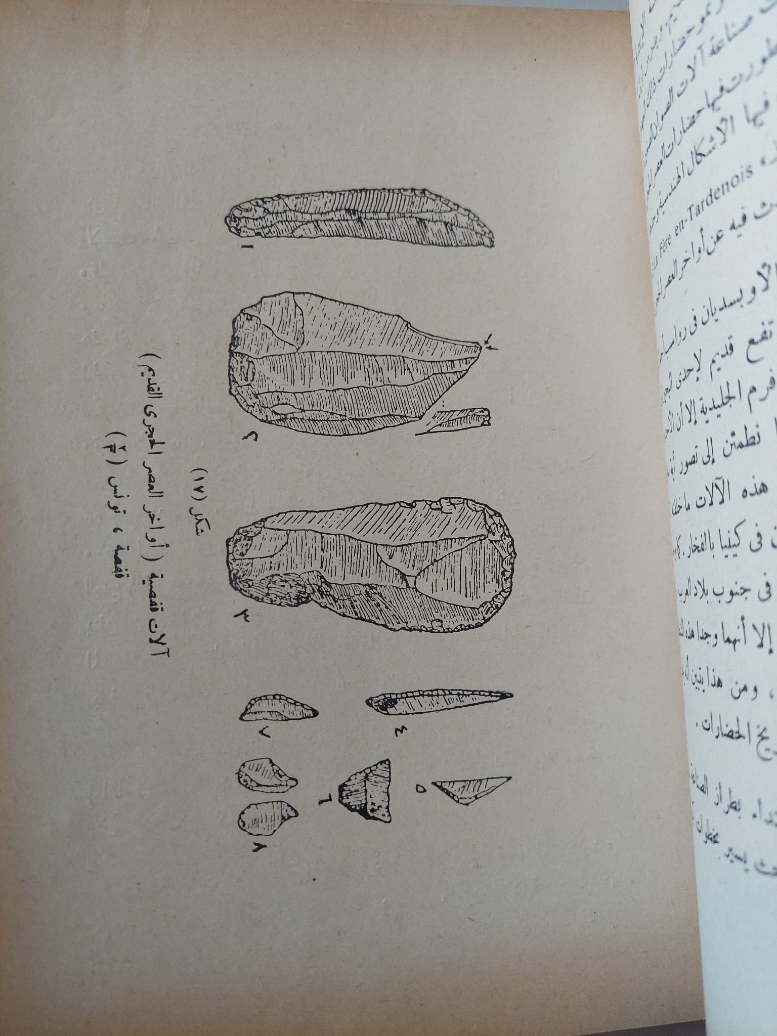 الأزمنة والأمكنة / هارولد بيك وجون فلير - متجر كتب مصر - متجر كتب مصر