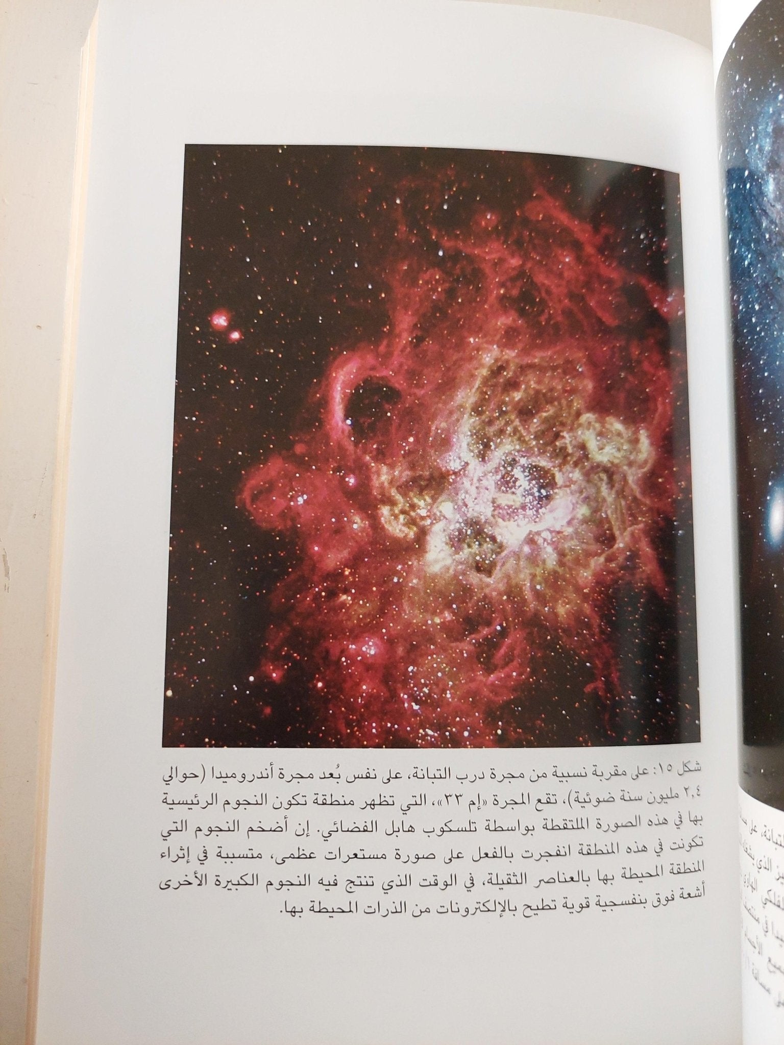 البدايات : 14 مليار عام من تطور الكون / مع ملحق للصور ط1 - متجر كتب مصر - متجر كتب مصر