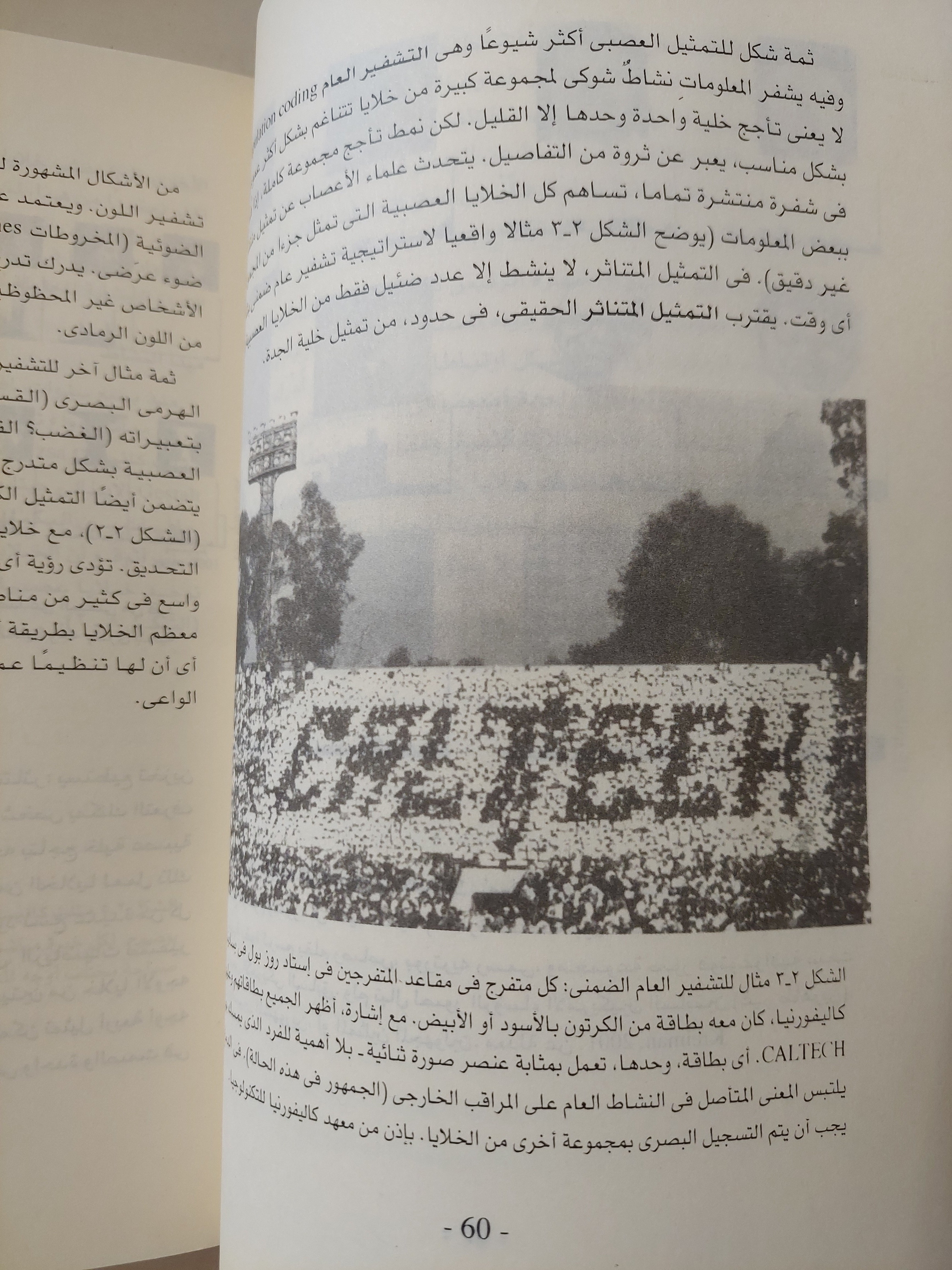 البحث عن الوعي .. مقاربة بيولوجية عصبية / كريستوف كوتش - ملحق بالصور - متجر كتب مصرمتجر كتب مصر