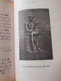 الدليل العصرى للمتحف المصرى / جورج دارسى - متجر كتب مصر - متجر كتب مصر