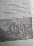 الإغريق بين الأسطورة والإبداع / ثروت عكاشة - قطع كبير ملحق بالصور - متجر كتب مصر - متجر كتب مصر