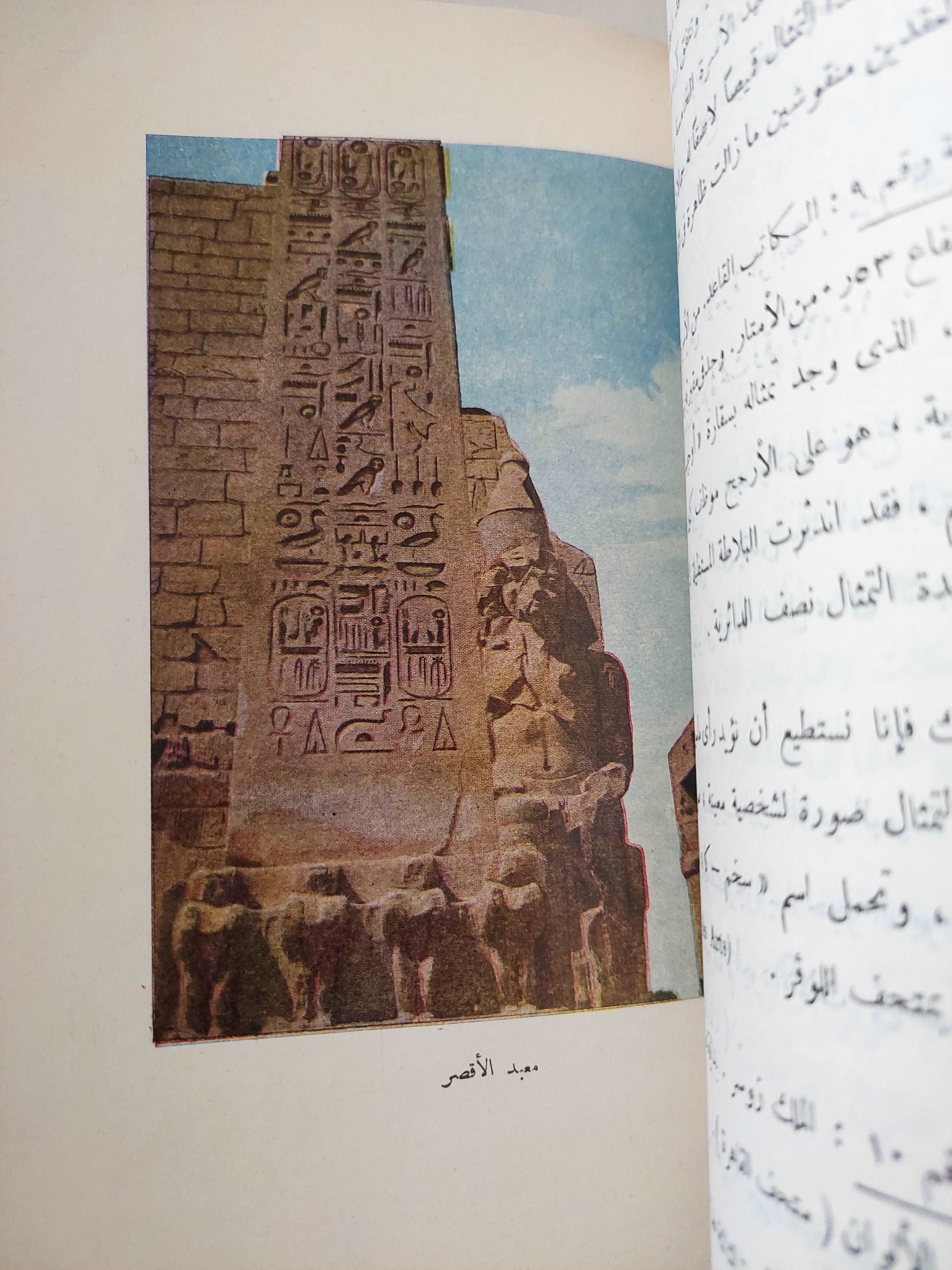 (الفن المصرى القديم (هارد كفر - متجر كتب مصر - متجر كتب مصر