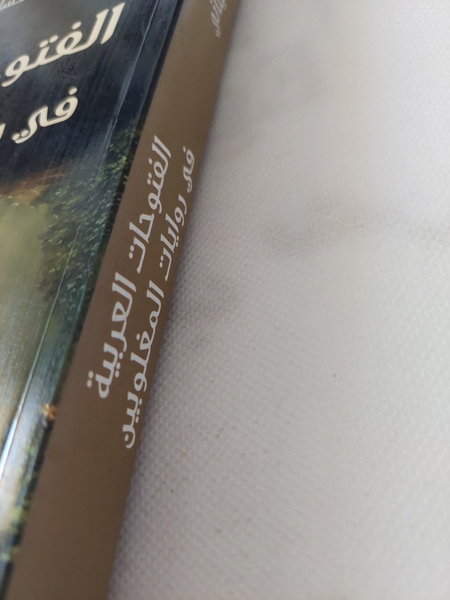 الفتوحات العربية فى روايات المغلوبين / حسام عيتانى - متجر كتب مصر - المكتبة الفلسفية