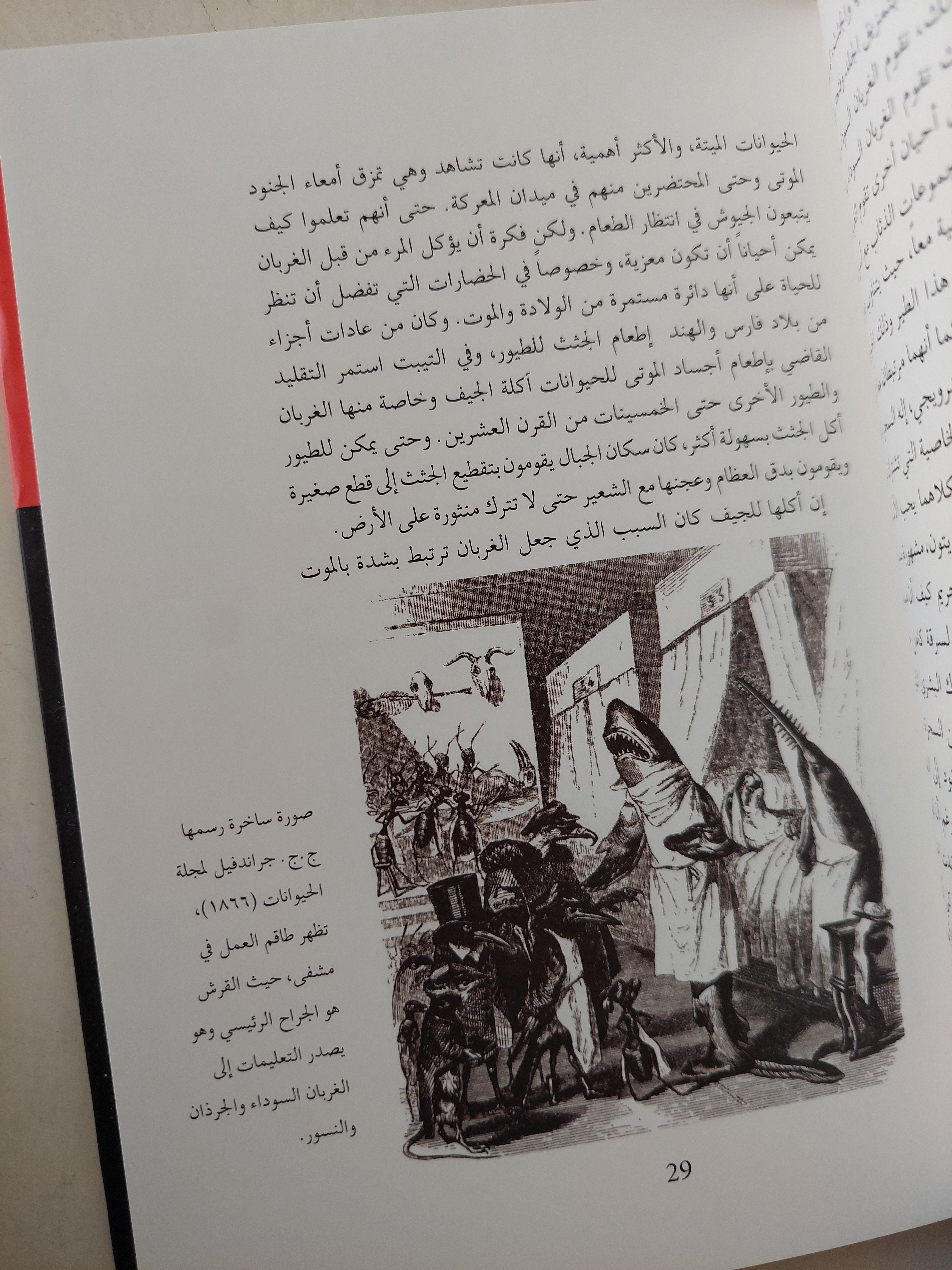 الغراب / بوريا ساكس - هارد كفر ملحق بالصور - متجر كتب مصر - متجر كتب مصر