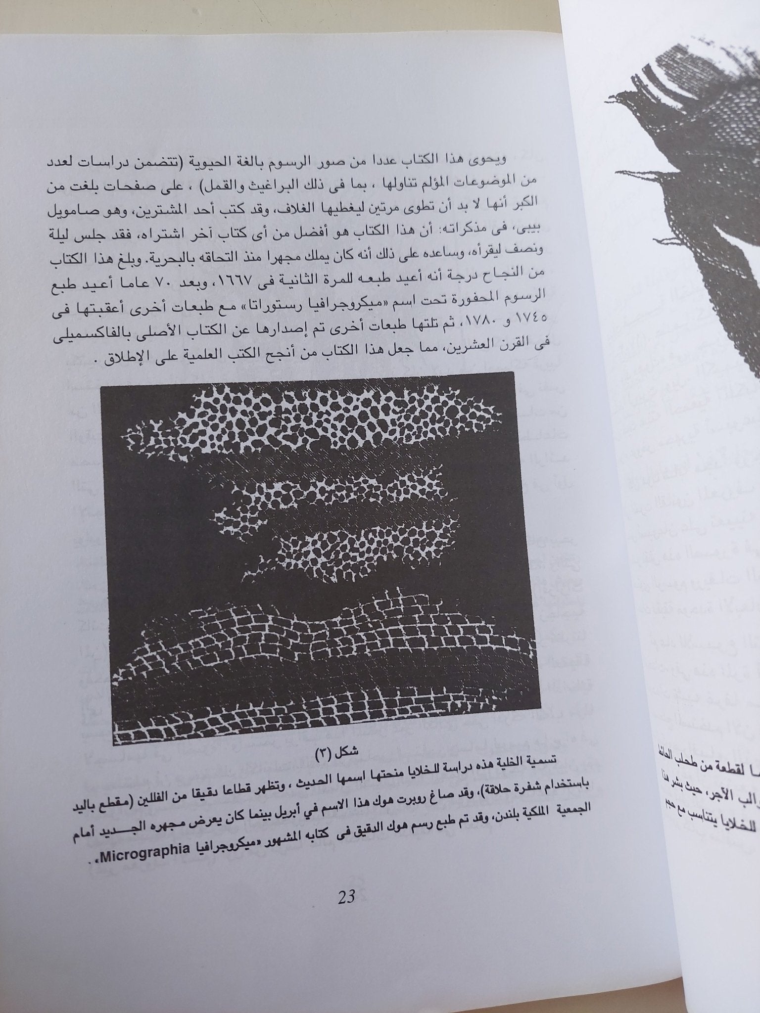 الجينات والصراع من اجل الحياة / براين جى فورد - متجر كتب مصر - متجر كتب مصر